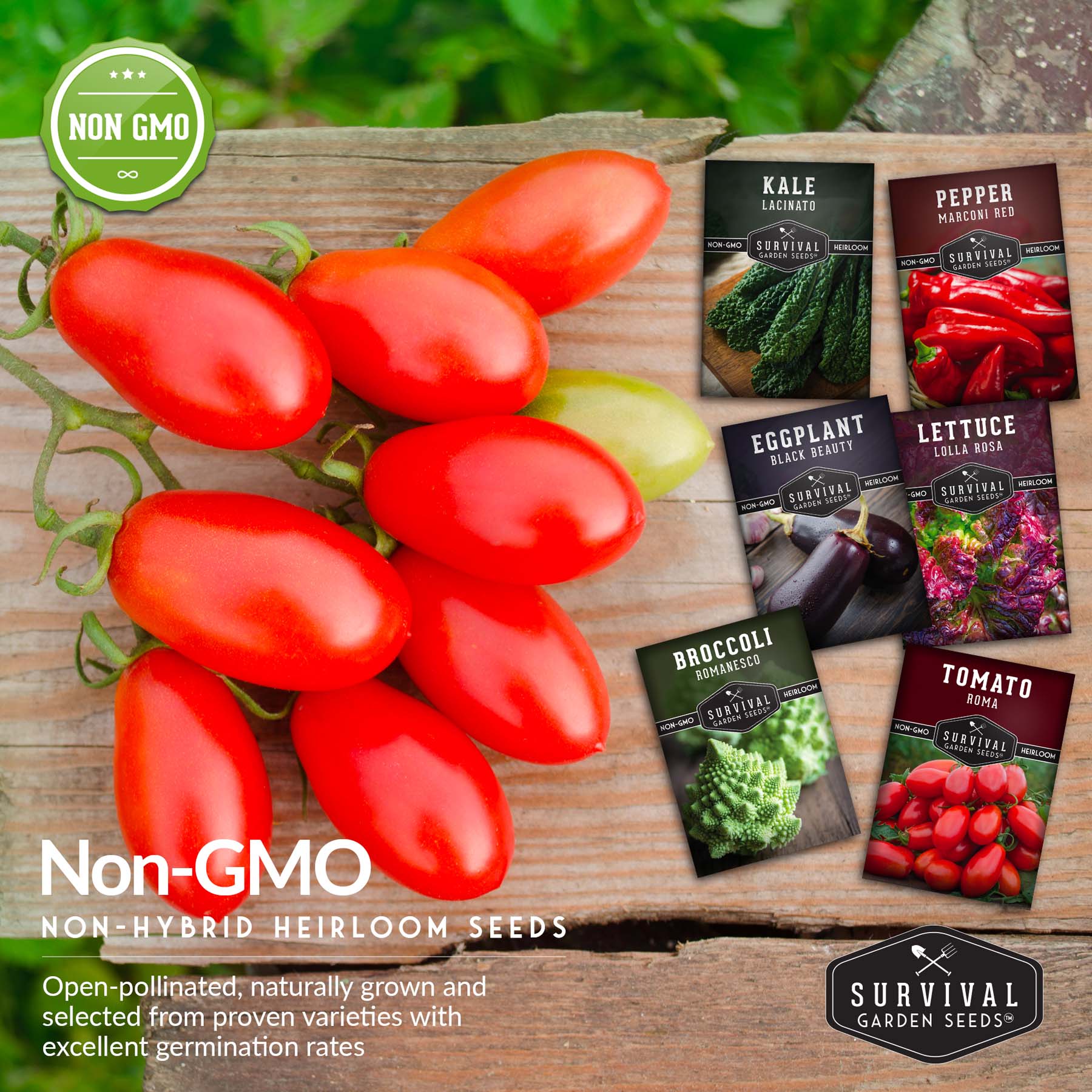 Italian Seed Collection – Classic Heirloom Vegetables for Authentic Flavor and Productive Home Gardens - Image 5