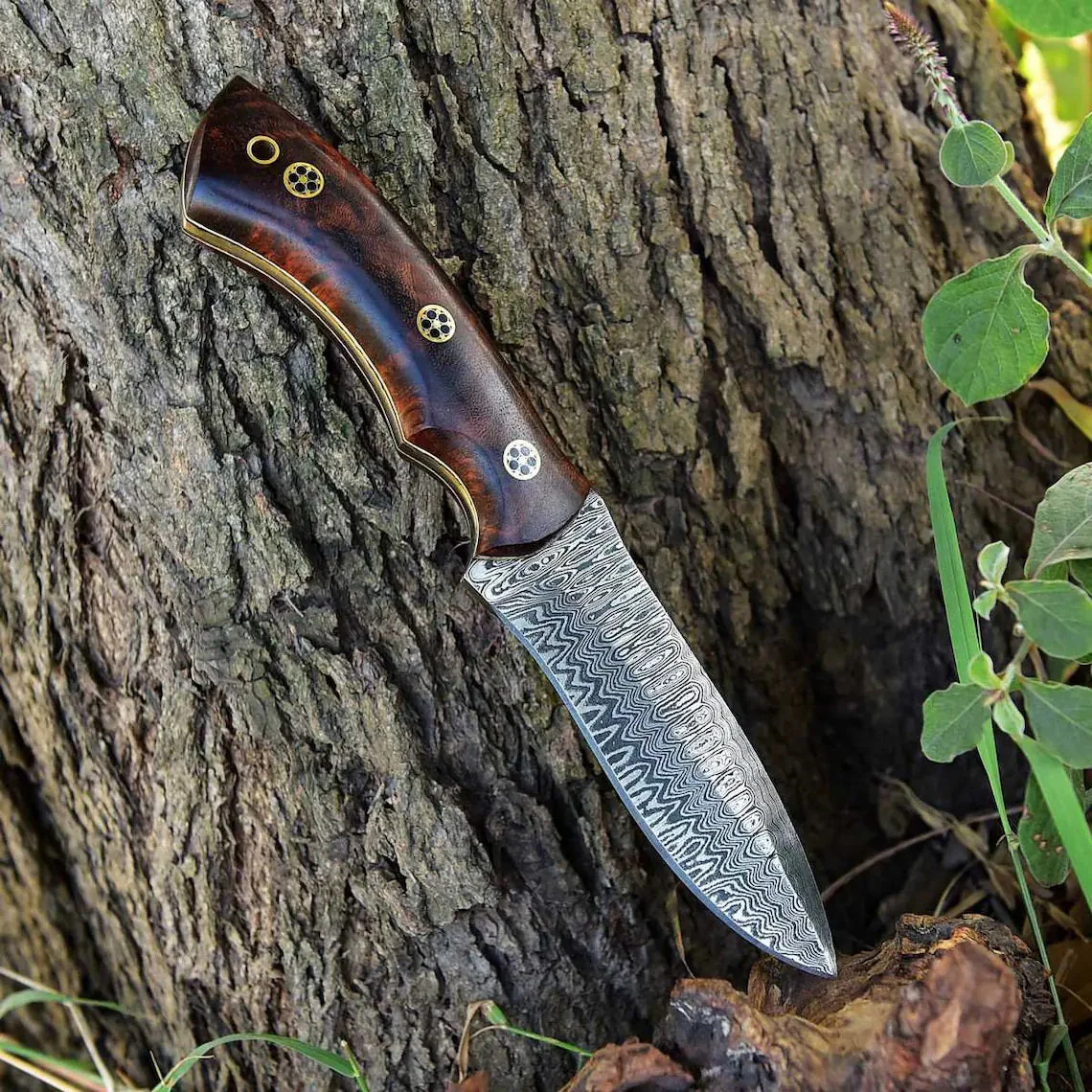 KBS Knives - 'Wilderness Warrior' Custom Handmade Damascus Steel Hunting Knife with Rosewood Handle - Image 3