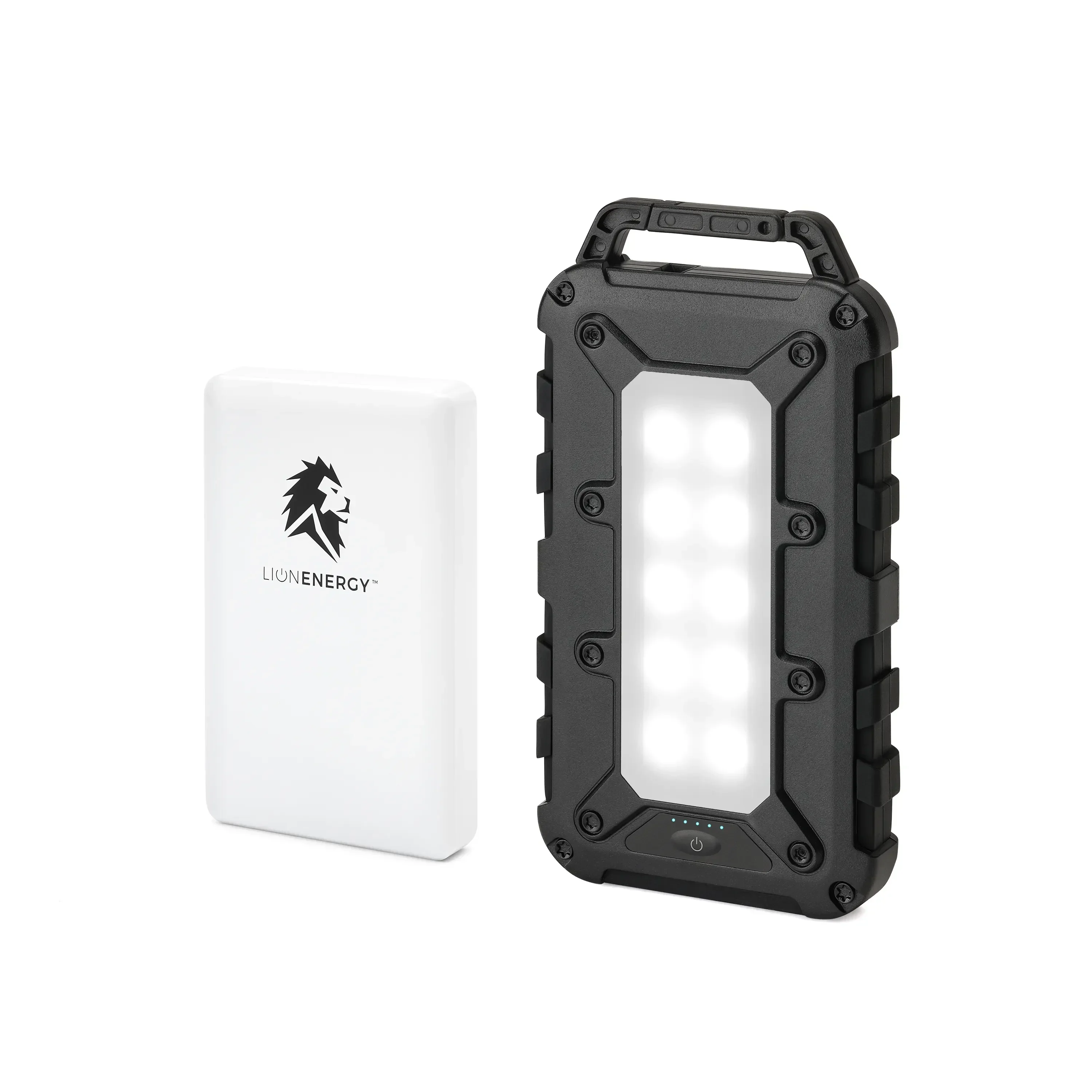 Lion Energy Power Bank Bundle