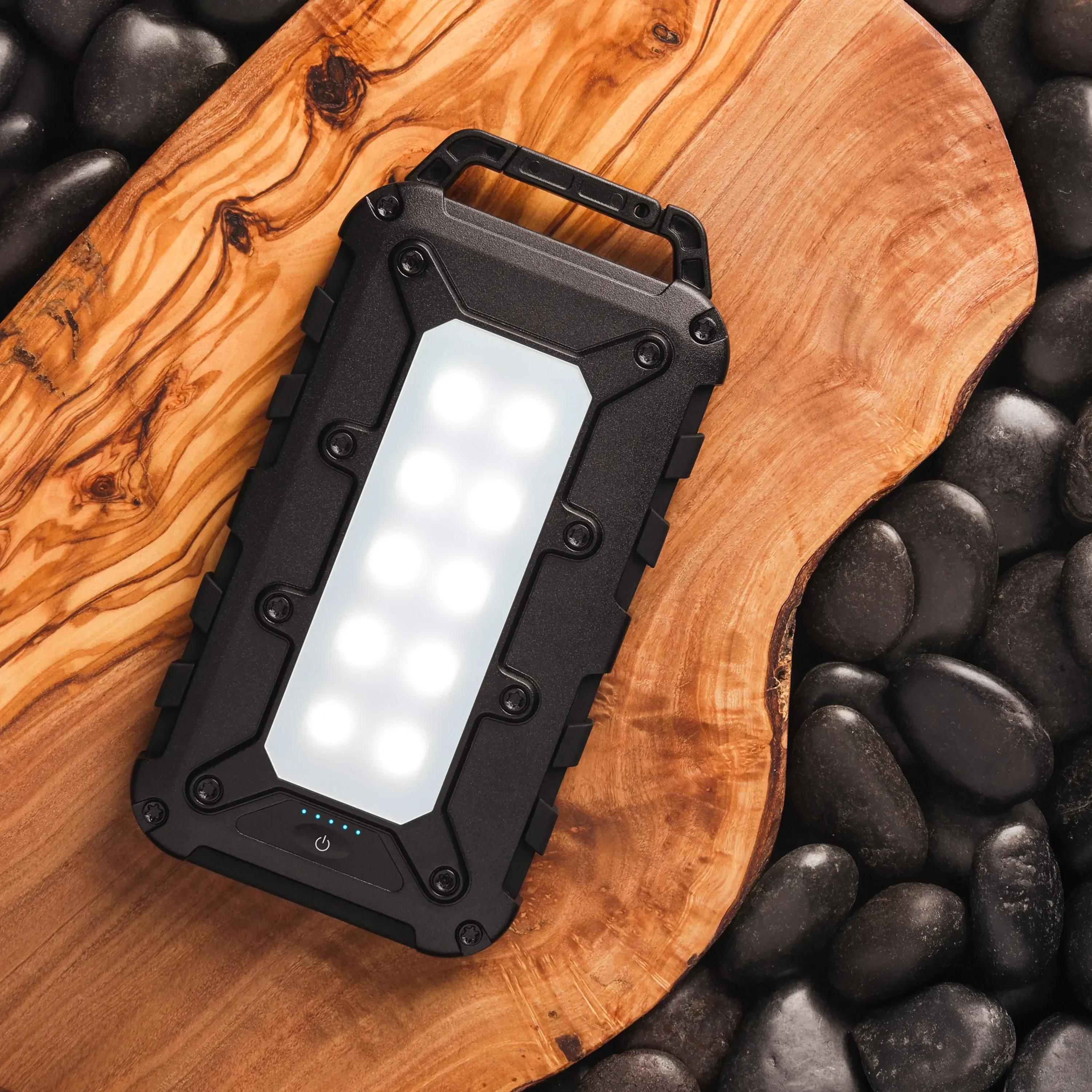 Lion Energy Power Bank Bundle - Image 10