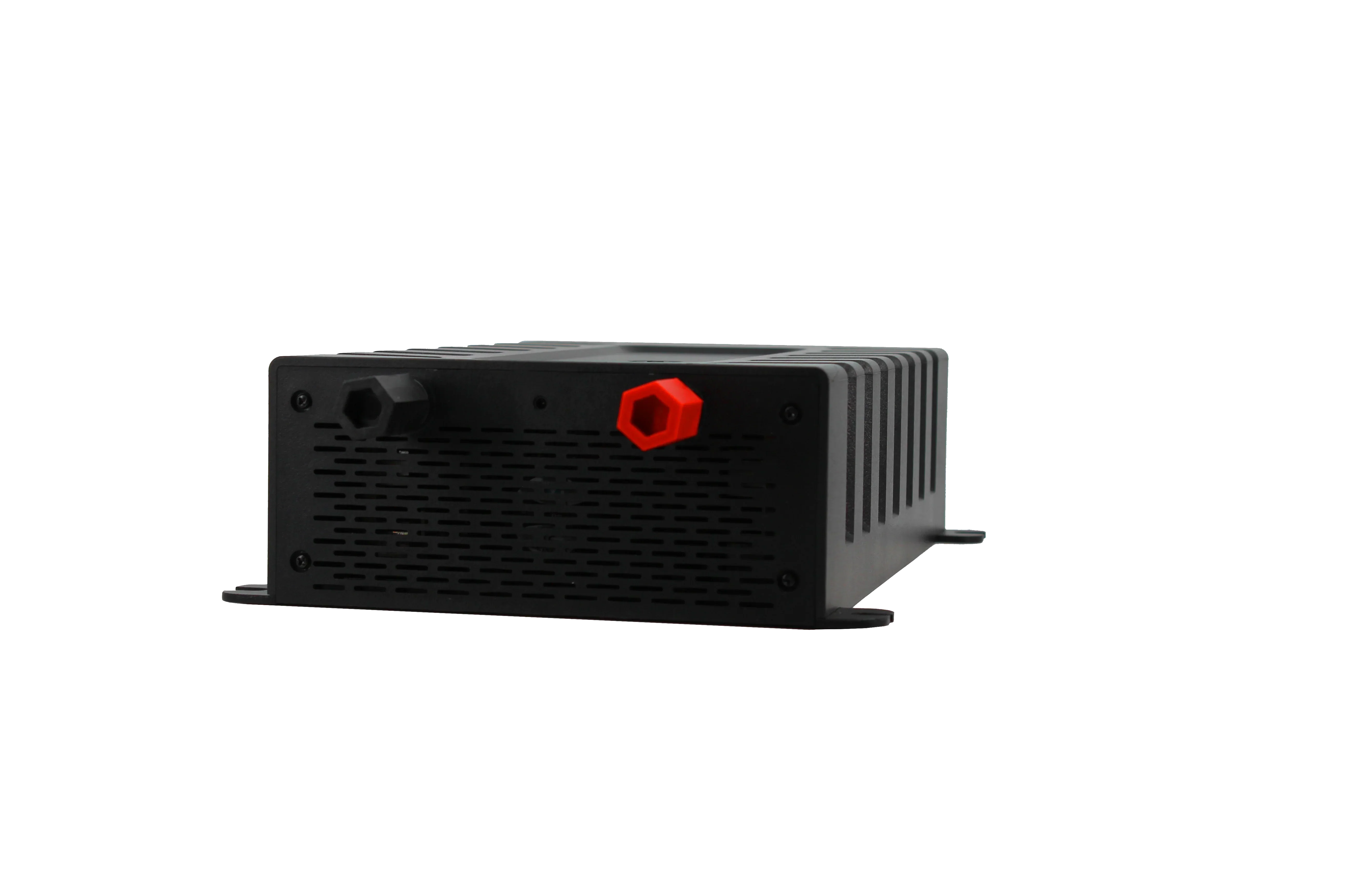 Lion Energy Savanna IV 2,000W - Image 4