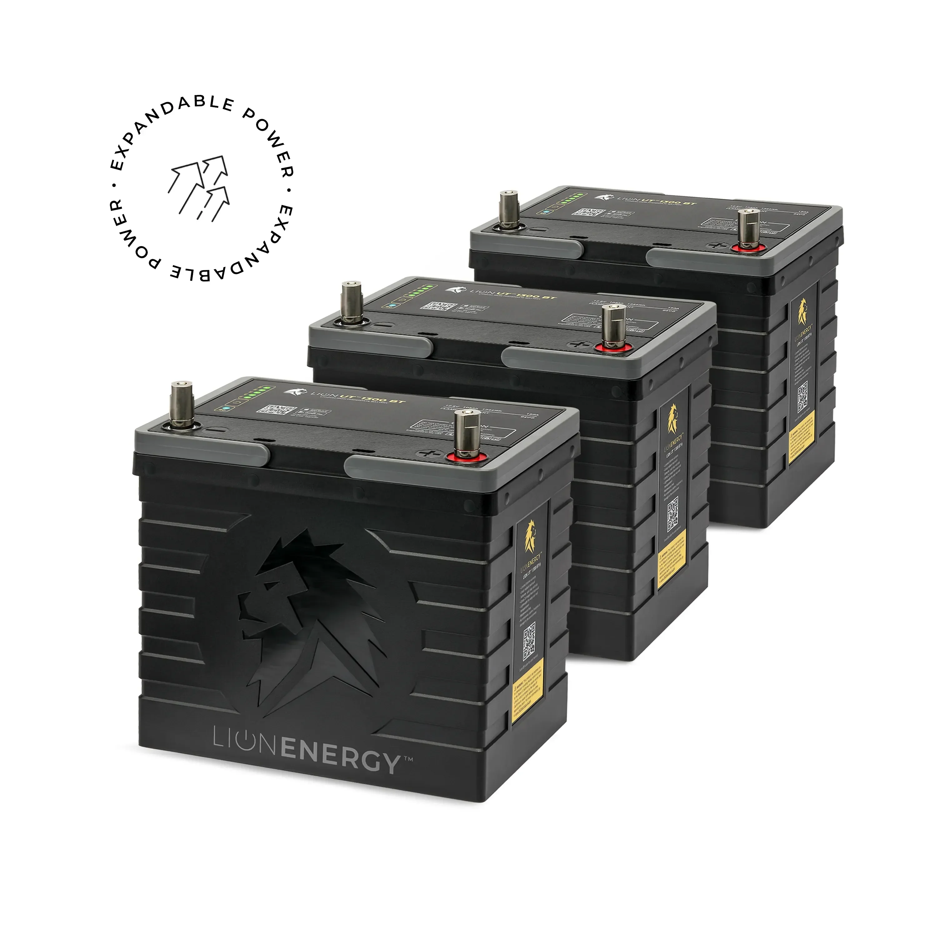 Lion Energy UT 1300 BT - Image 5