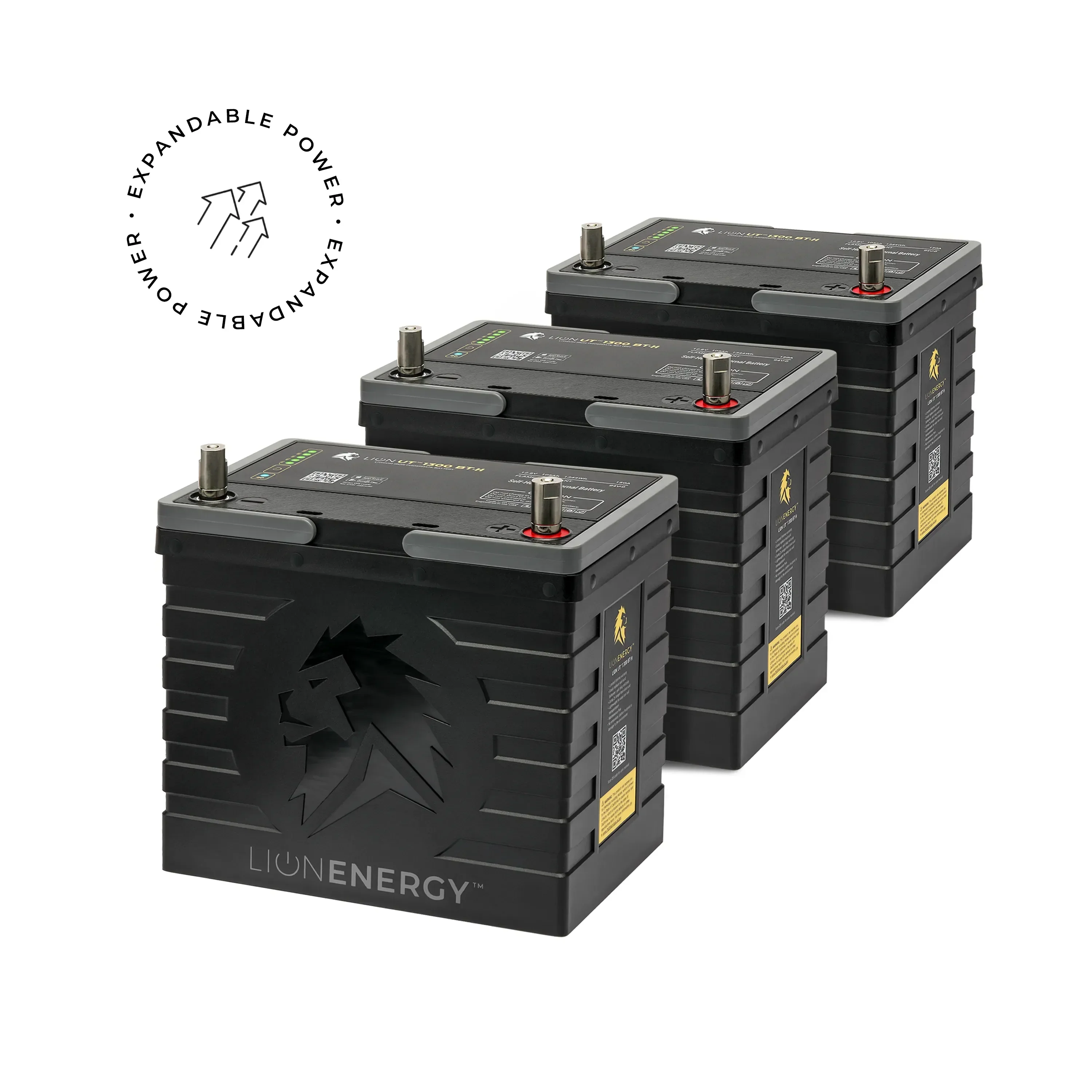Lion Energy UT 1300 BT-H - Image 3