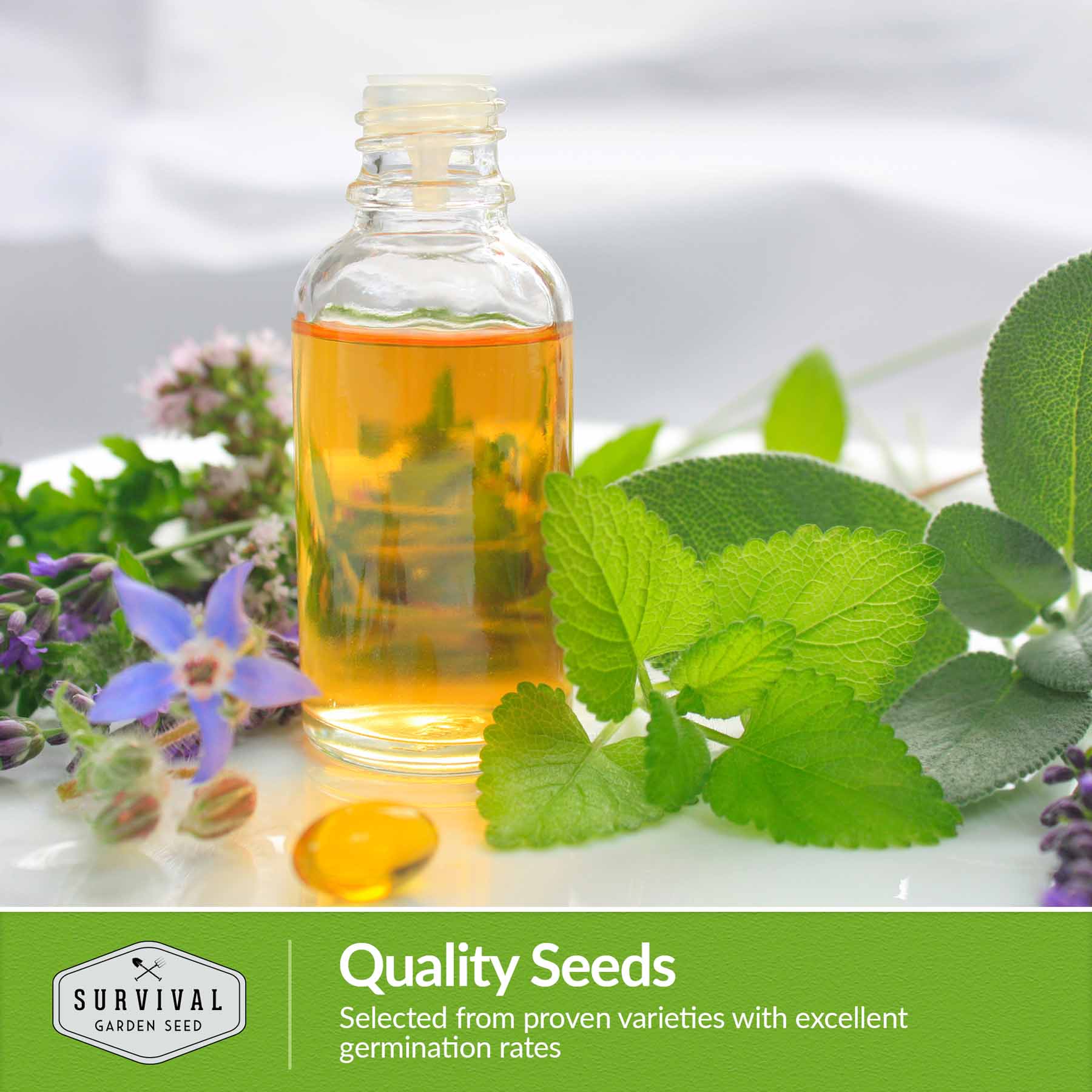 Medicinal Herb Seeds Collection – 18 Heirloom Non-GMO Herbs for Wellness, Tea & Home Apothecary Gardens (Lavender, Chamomile, Echinacea, Peppermint, Sage & More) - Image 4