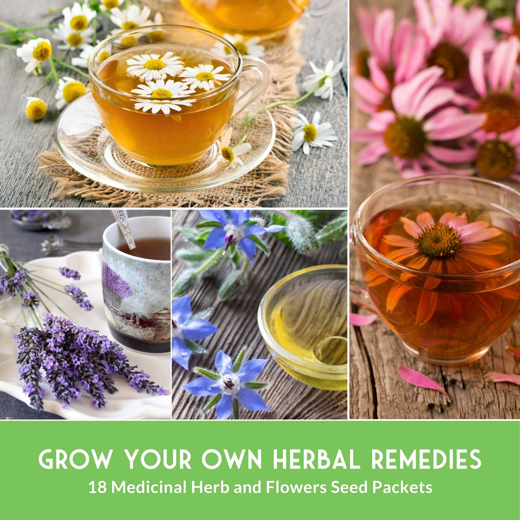 Medicinal Herb Seeds Collection – 18 Heirloom Non-GMO Herbs for Wellness, Tea & Home Apothecary Gardens (Lavender, Chamomile, Echinacea, Peppermint, Sage & More) - Image 5