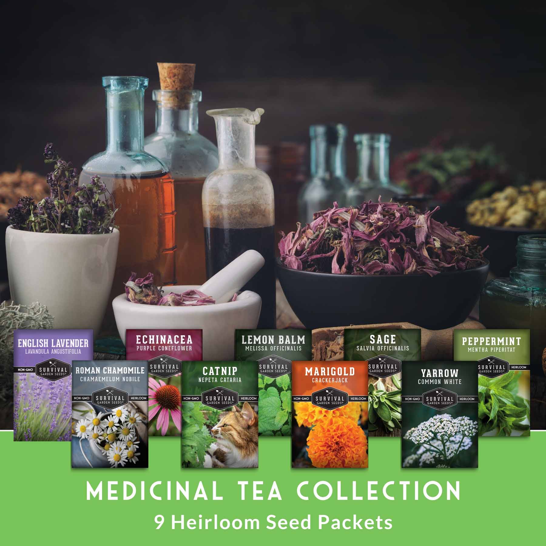 Medicinal Tea Herb Seeds Collection – 9 Heirloom Non-GMO Herbs for Calming Teas, Wellness & Home Apothecary Gardens (Chamomile, Lavender, Peppermint, Sage & More) - Image 3