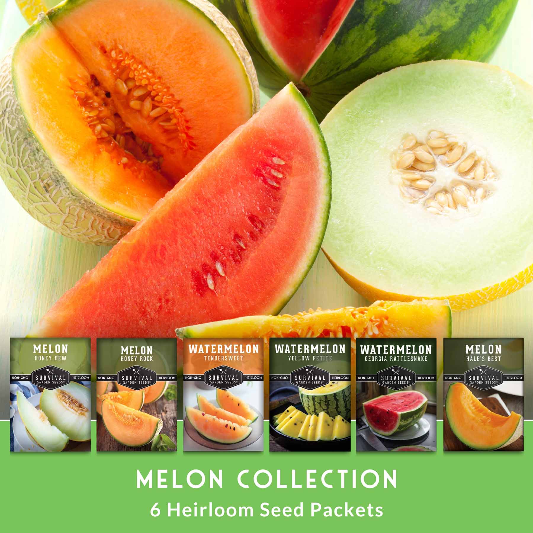 Melon Seed Collection – 6 Heirloom Varieties of Watermelon, Cantaloupe & Honeydew for High-Yield Summer Gardens - Image 2