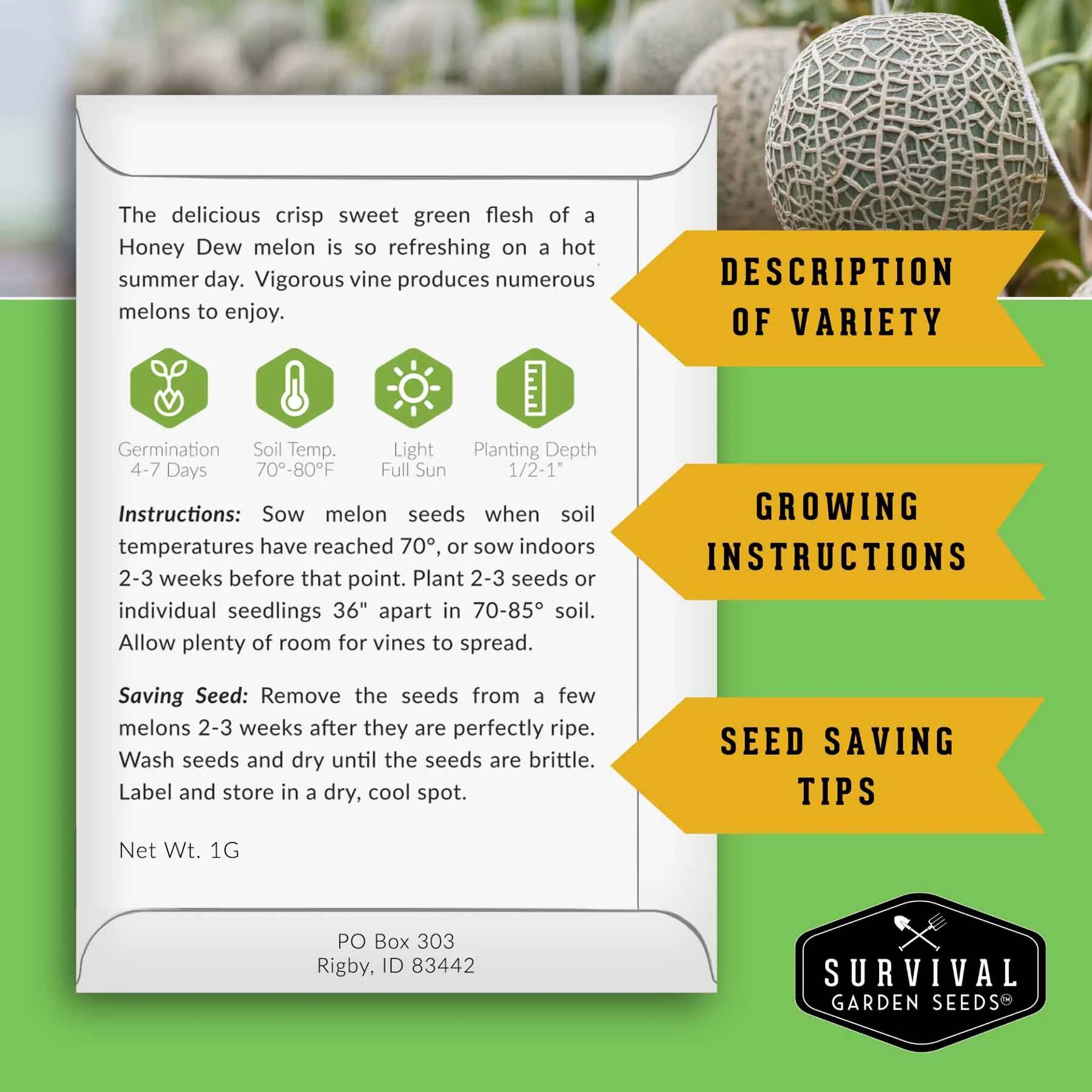 Melon Seed Collection – 6 Heirloom Varieties of Watermelon, Cantaloupe & Honeydew for High-Yield Summer Gardens - Image 3