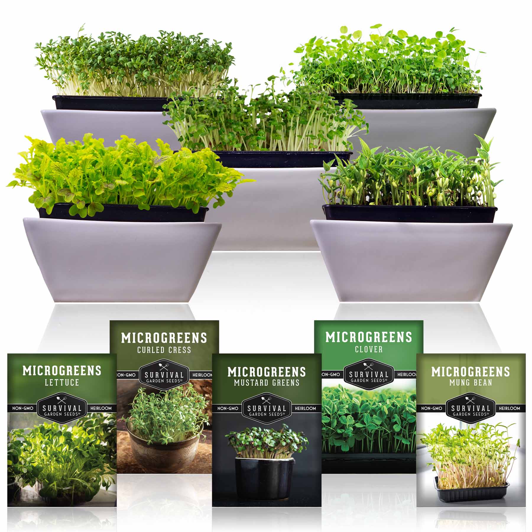 Microgreens Seeds Variety Pack – 5 Heirloom Non-GMO Microgreen Seed Packs for Indoor Growing & Sprouting - Image 2