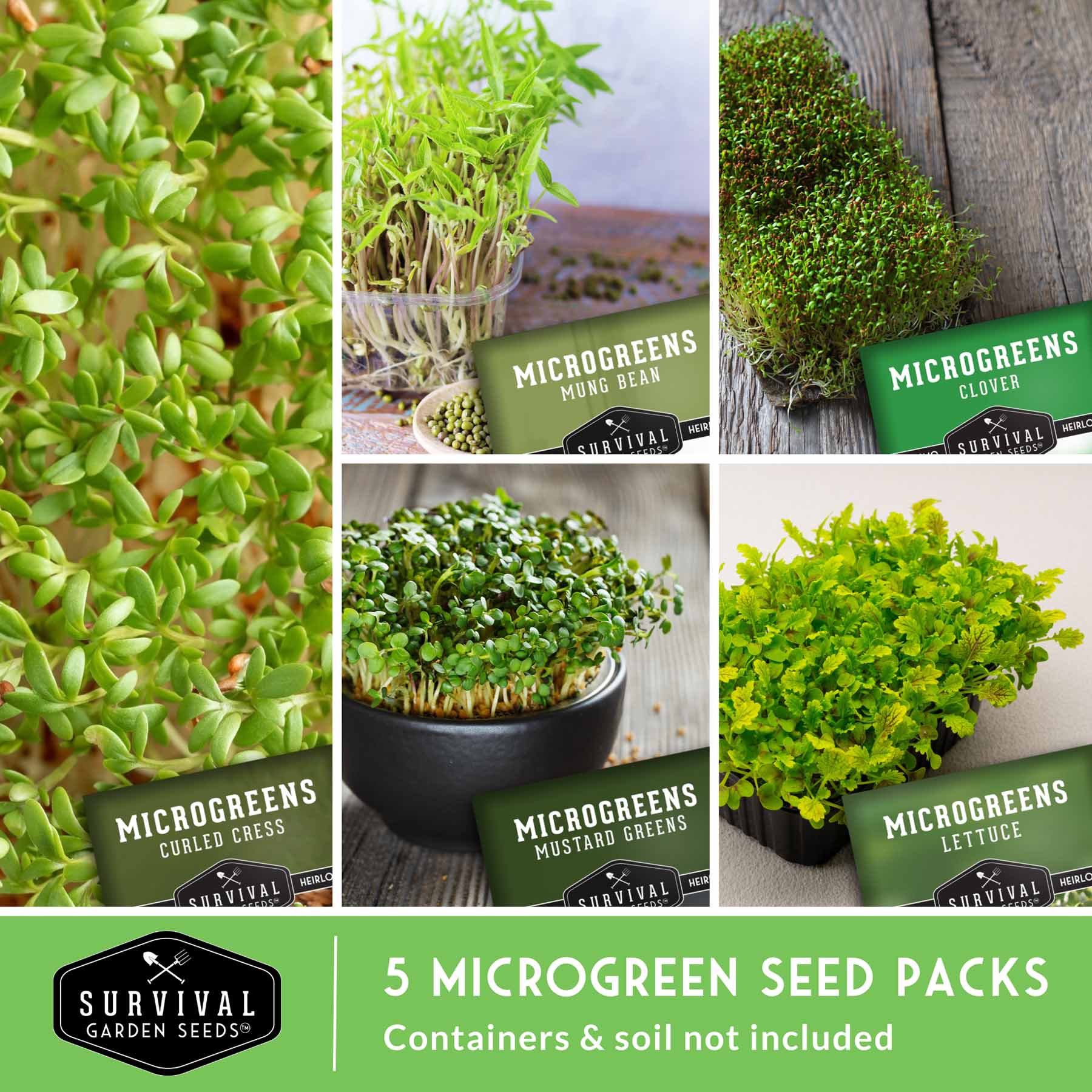 Microgreens Seeds Variety Pack – 5 Heirloom Non-GMO Microgreen Seed Packs for Indoor Growing & Sprouting - Image 3