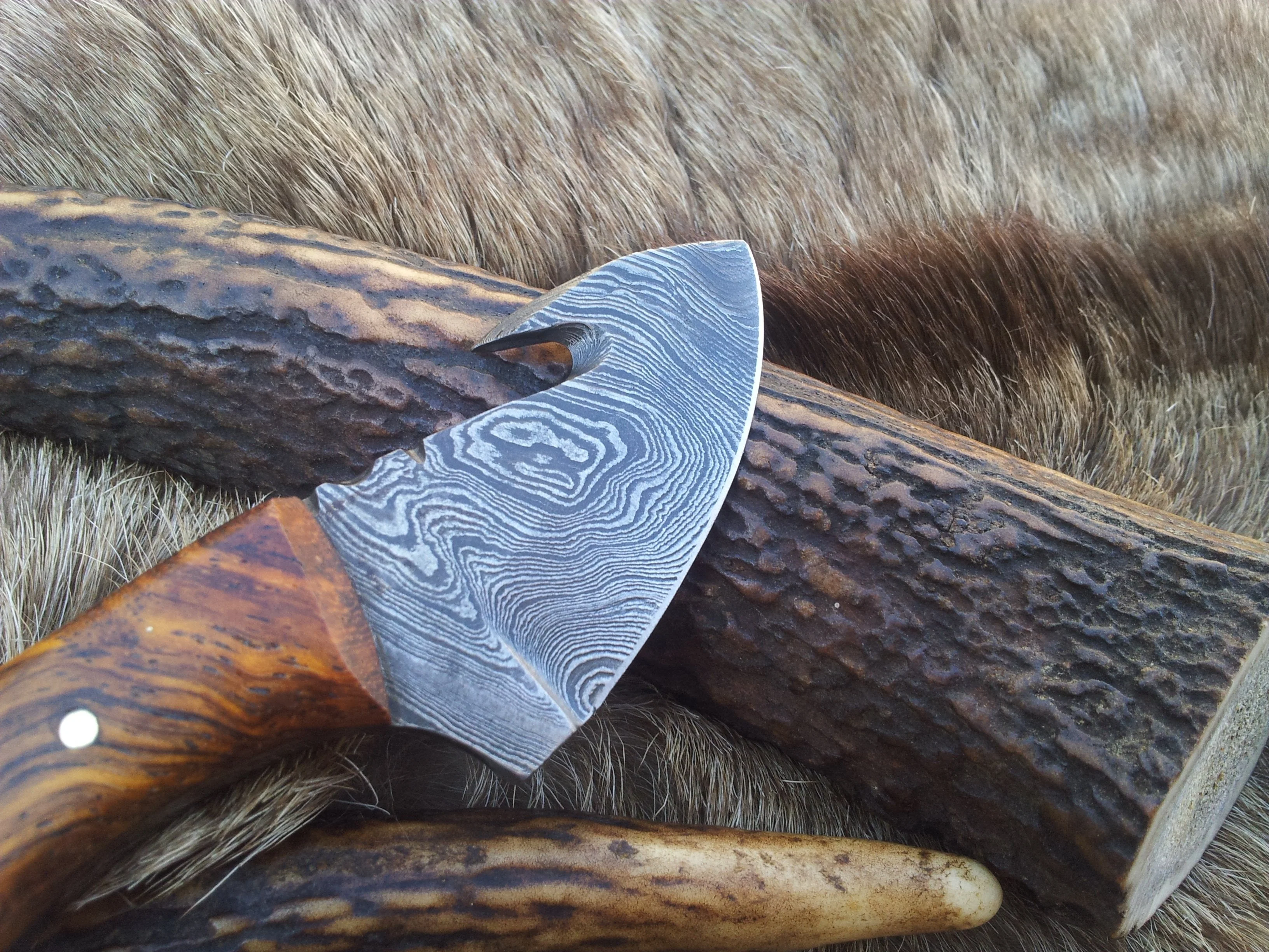 Mini Guthook Knife - Custom Damascus Steel Blade & Rosewood Handle - Image 3