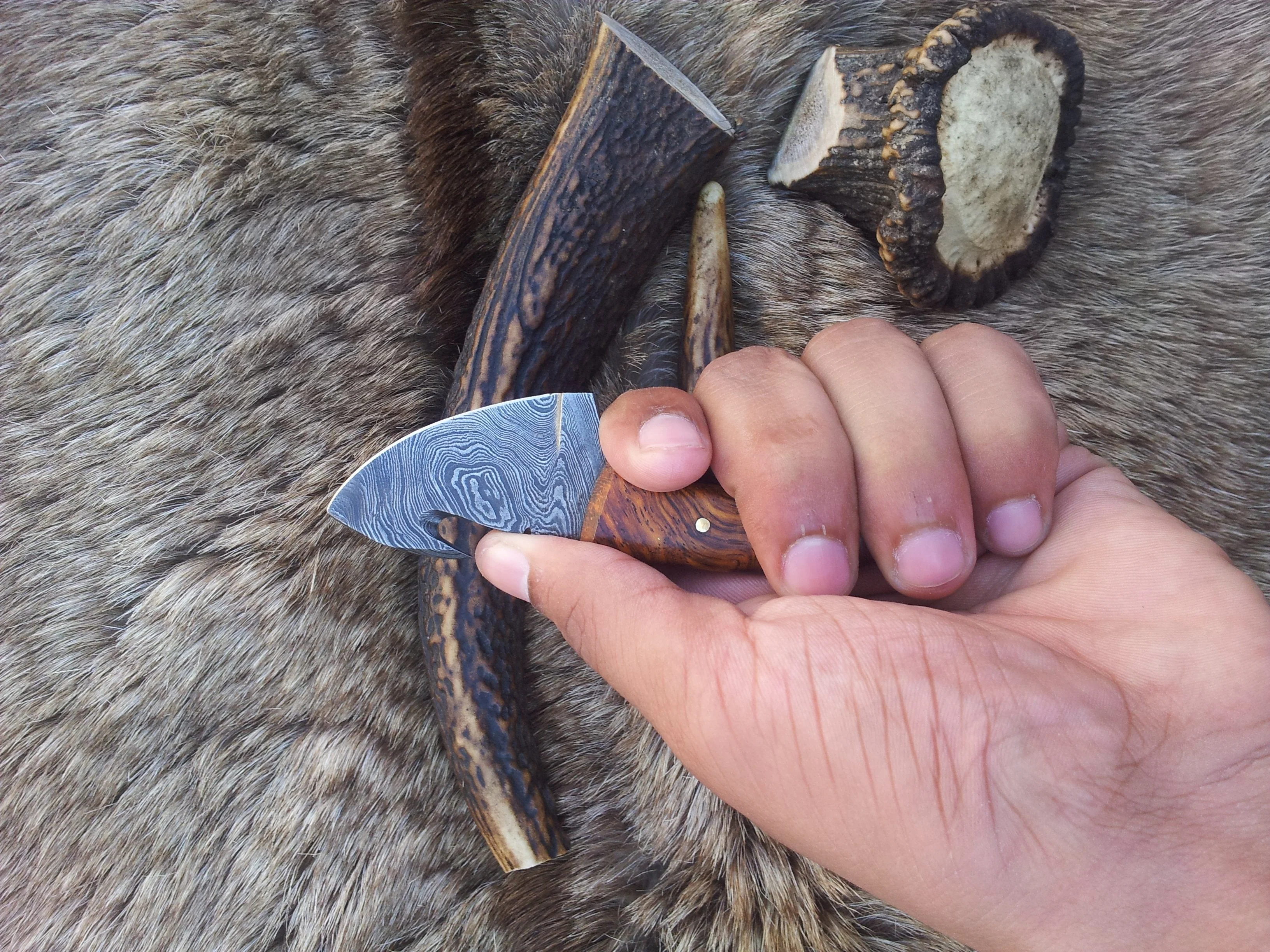 Mini Guthook Knife - Custom Damascus Steel Blade & Rosewood Handle - Image 5