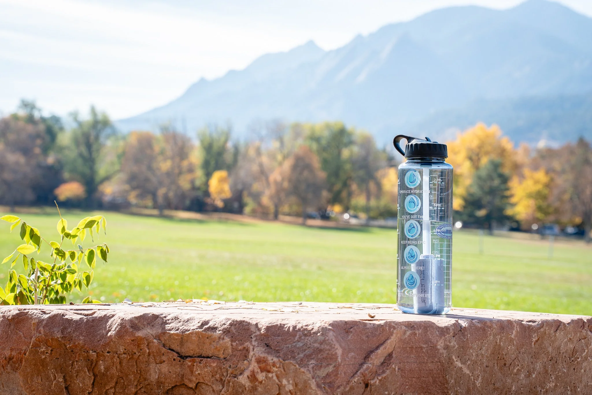 Nalgene OG Motivational Bottle - Image 19