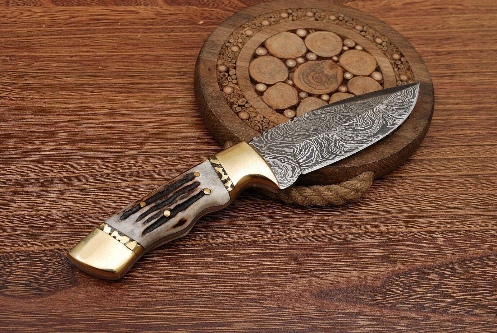 Natural Sambar Stag Horn-Brass Hunting Skinning Knife - Image 2