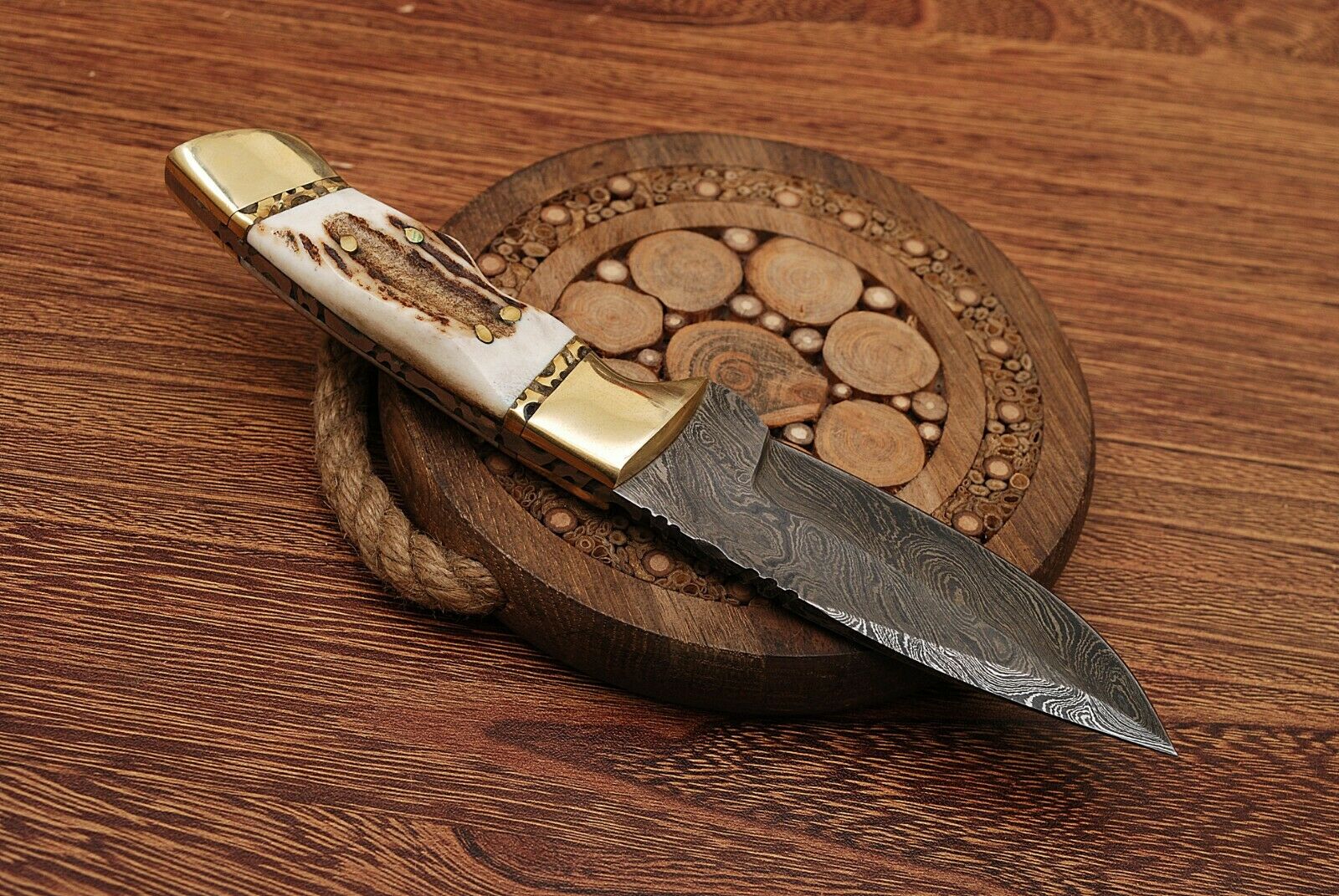 Natural Sambar Stag Horn-Brass Hunting Skinning Knife - Image 4