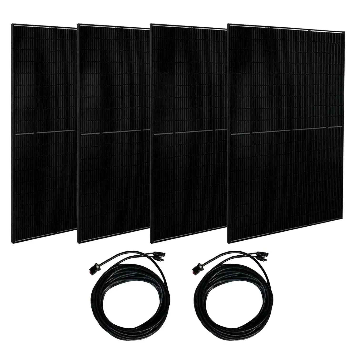 Nature’s Generator Powerhouse Platinum PE System - Image 9