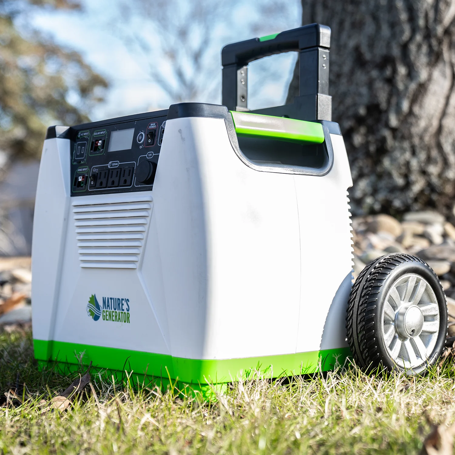 Nature's Generator - Image 9