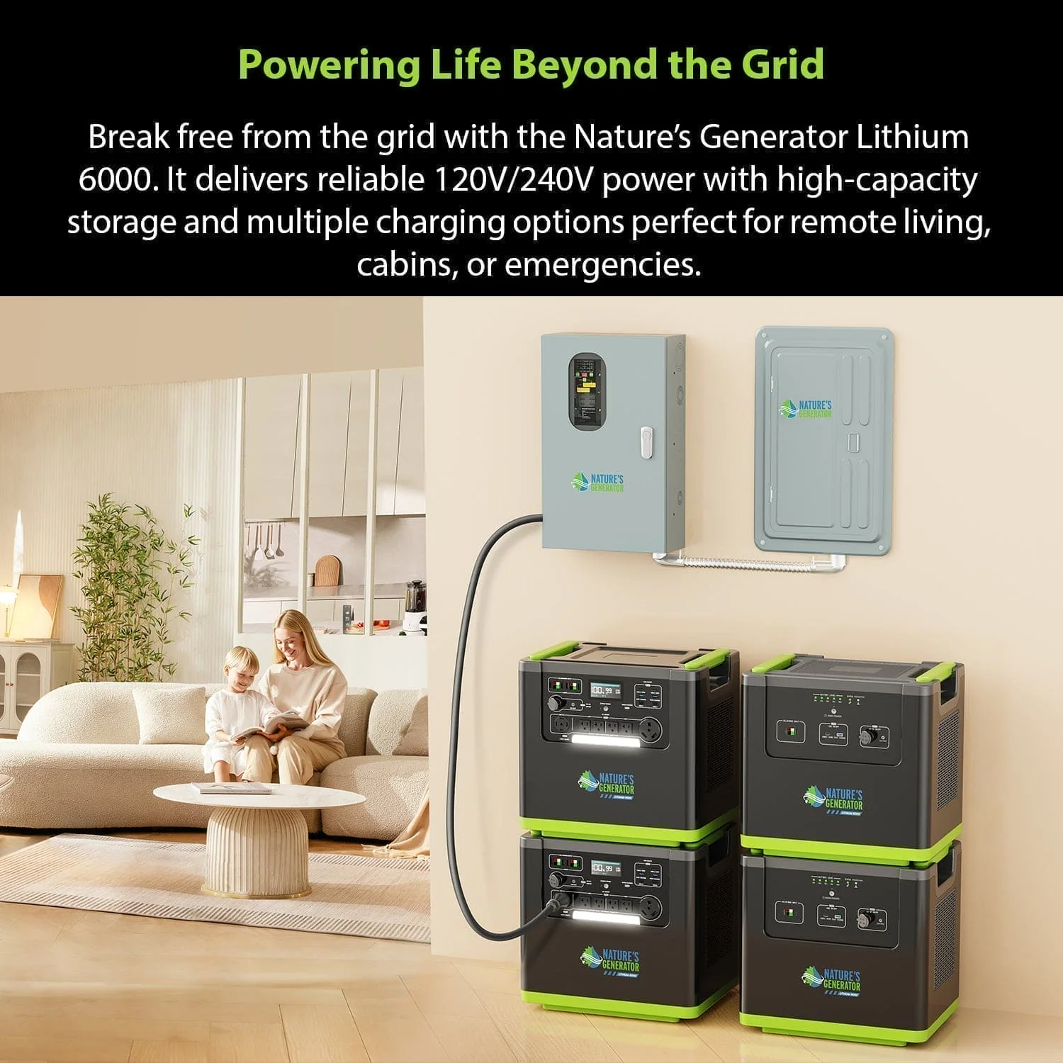 Nature's Generator Lithium 6000 and Transfer Switch - Image 17