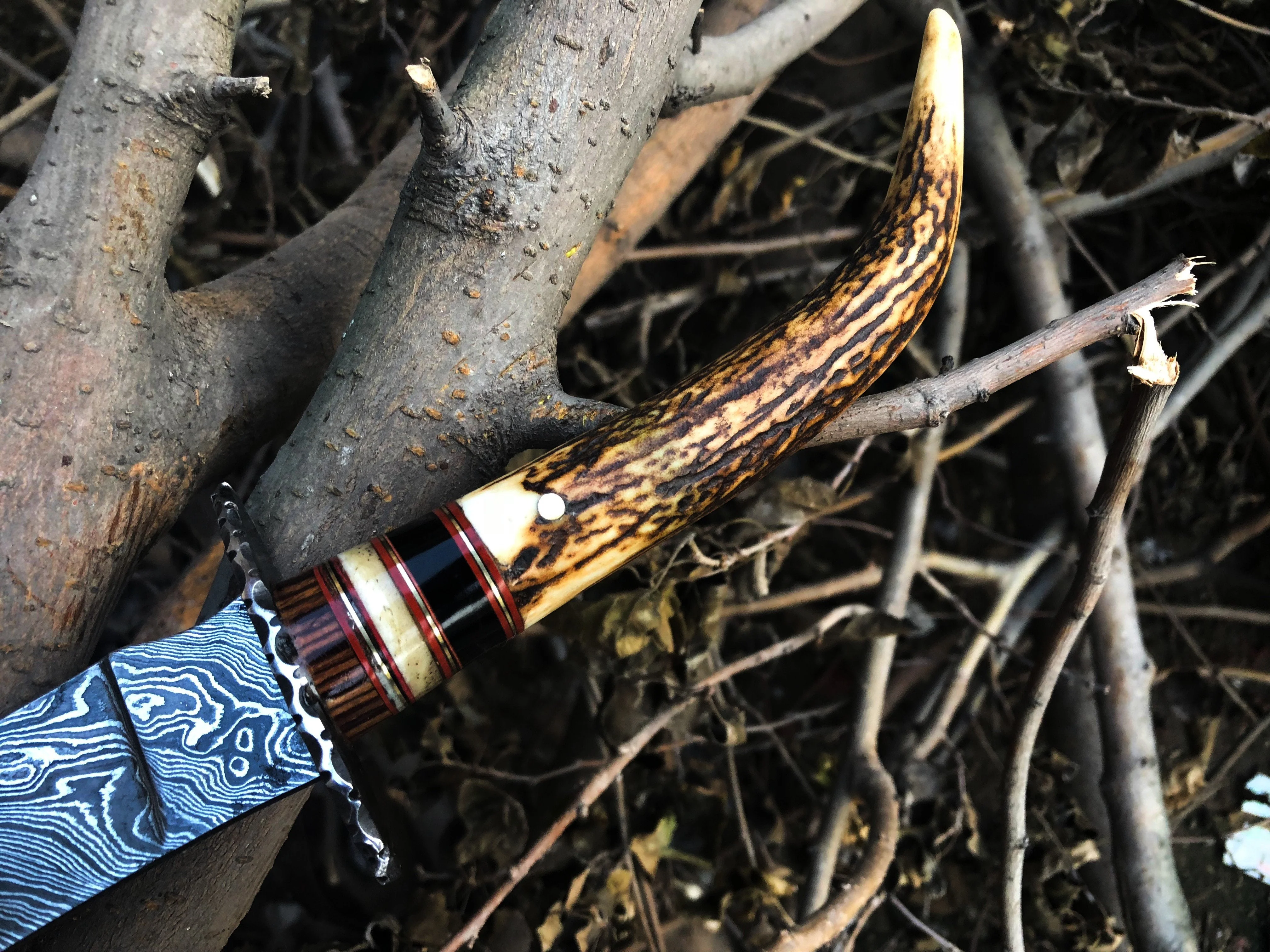 New Custom Handmade Damascus Steel Hunting Skinning Knife - Image 3
