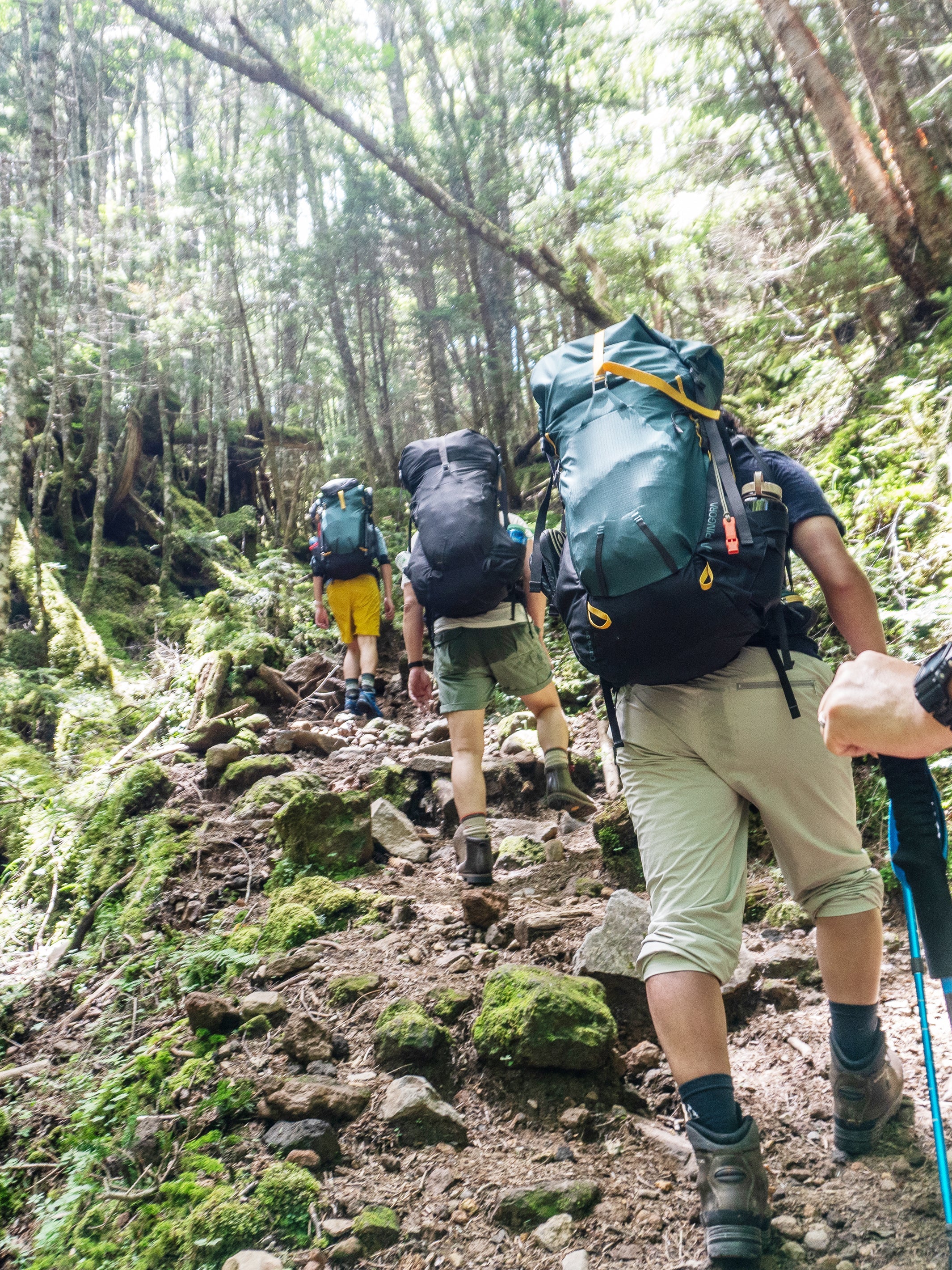 Pingora Outro 55 Backpacking Pack - Image 14