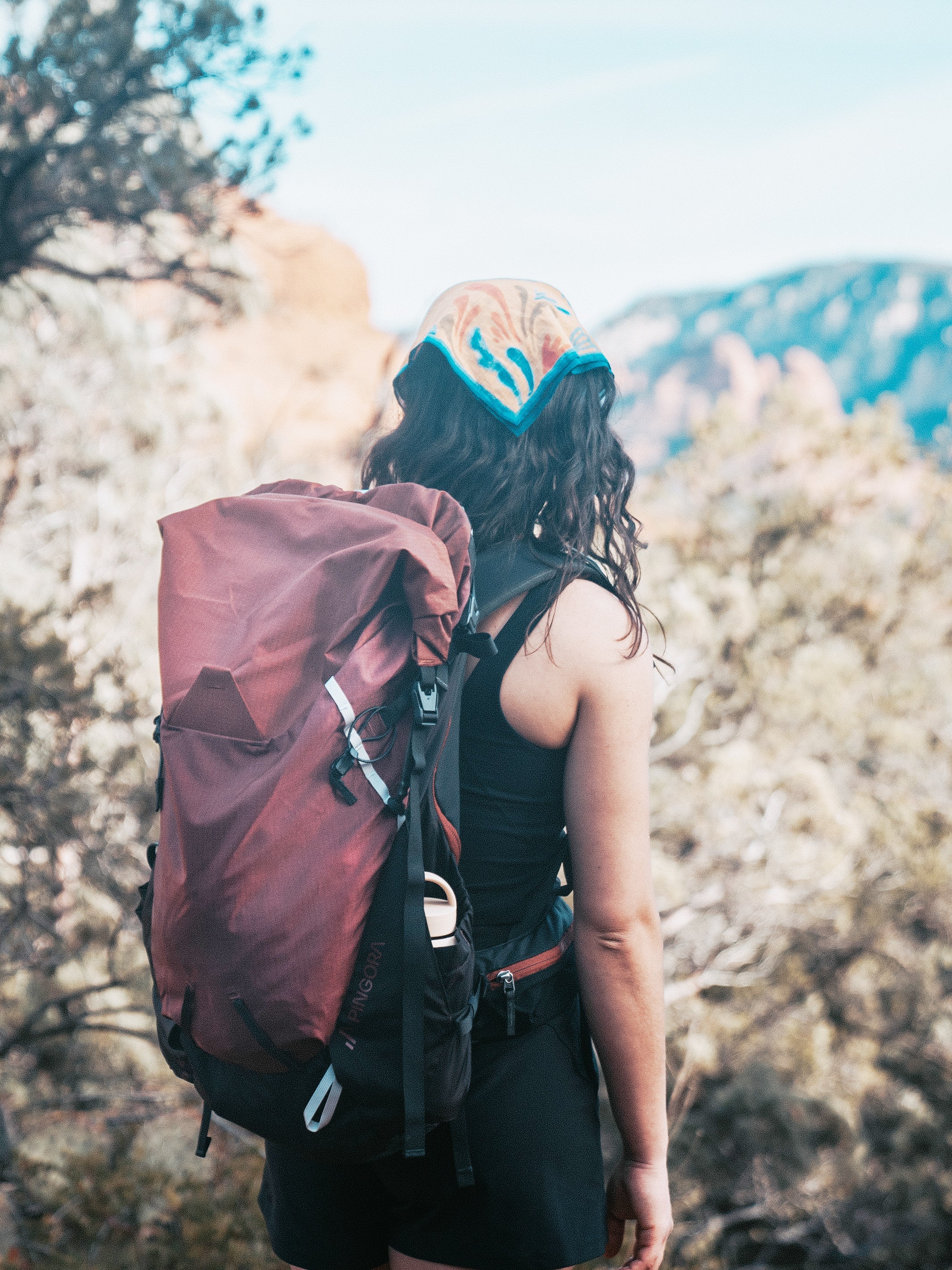 Pingora Outro 55 Backpacking Pack - Image 15