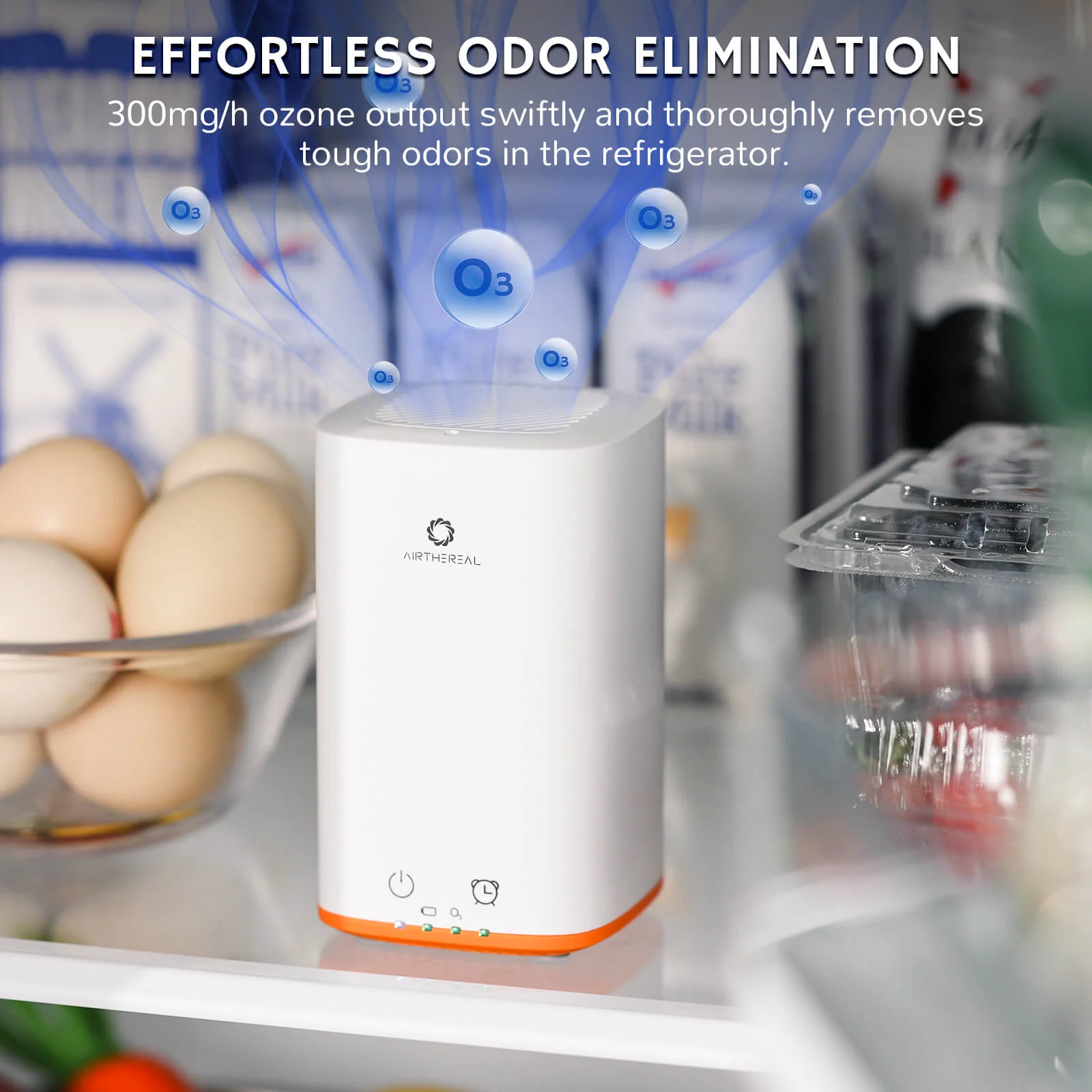 PA300-GO Portable Ozone Generator - Image 12