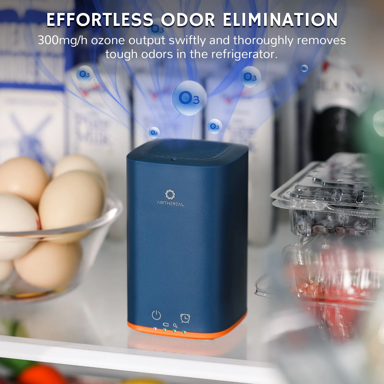 PA300-GO Portable Ozone Generator - Image 3