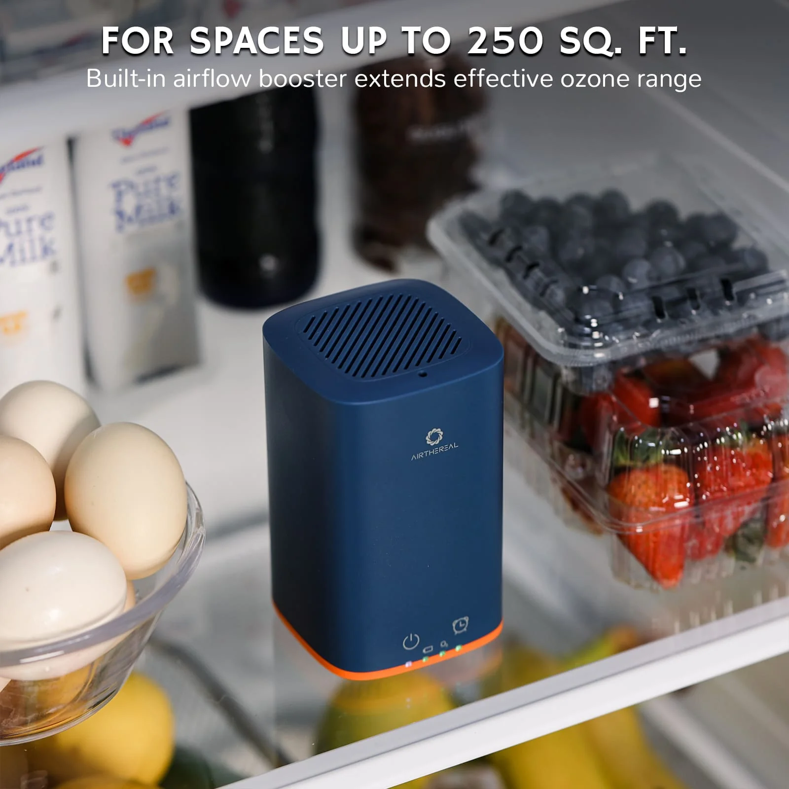 PA300-GO Portable Ozone Generator - Image 6