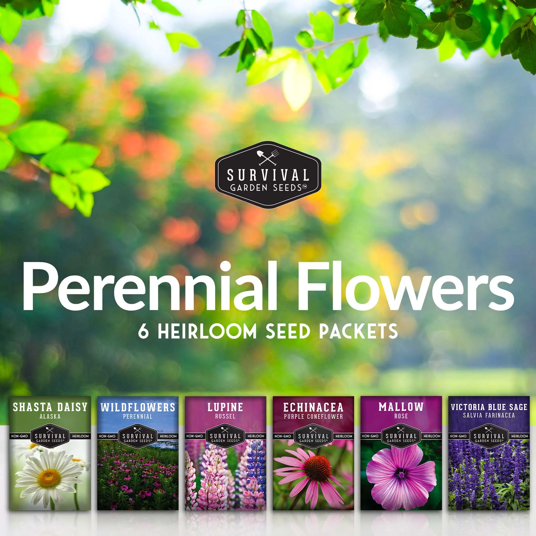 Perennial Flower Seed Collection – Non-GMO Heirloom Blooms for Pollinator Gardens, Borders & Year-Round Color - Image 2