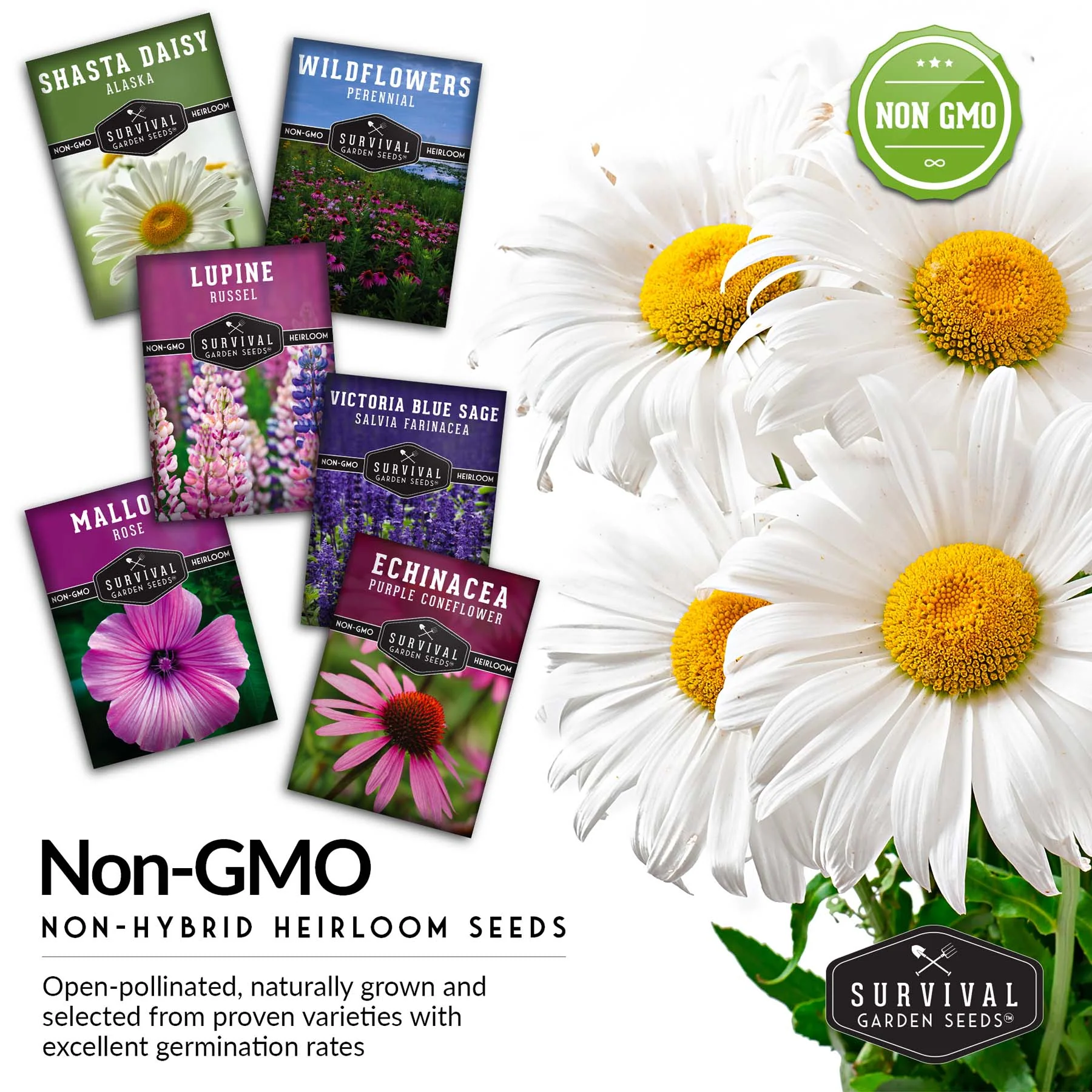 Perennial Flower Seed Collection – Non-GMO Heirloom Blooms for Pollinator Gardens, Borders & Year-Round Color - Image 5