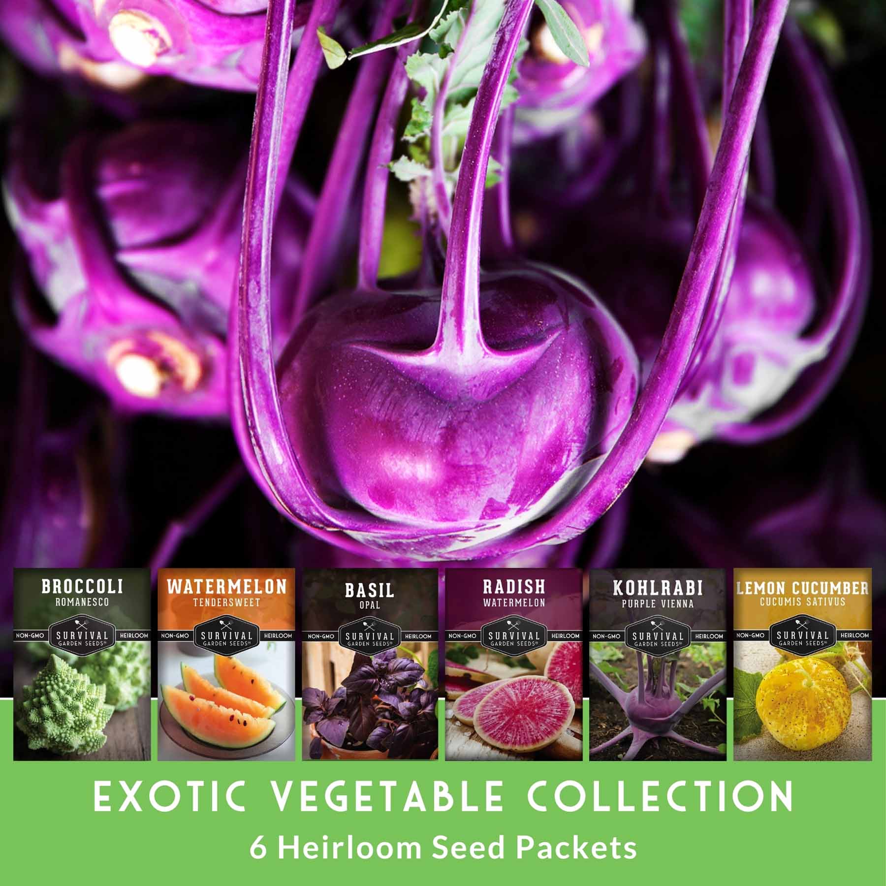 Rare Exotic Vegetable & Fruit Seeds – 6 Variety Heirloom Pack with Romanesco Broccoli, Watermelon Radish, Lemon Cucumber, and More - Image 2