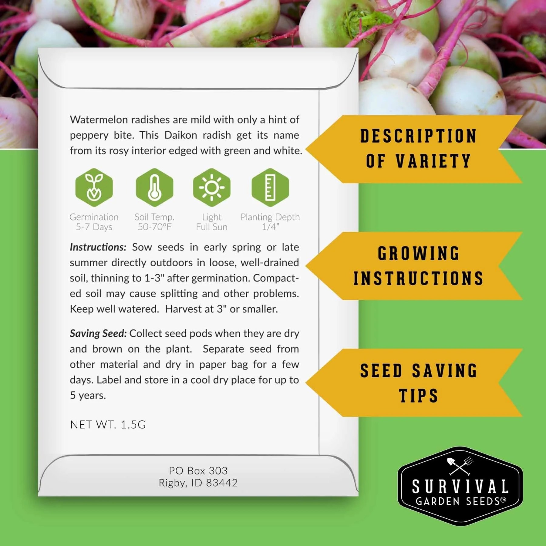 Rare Exotic Vegetable & Fruit Seeds – 6 Variety Heirloom Pack with Romanesco Broccoli, Watermelon Radish, Lemon Cucumber, and More - Image 3