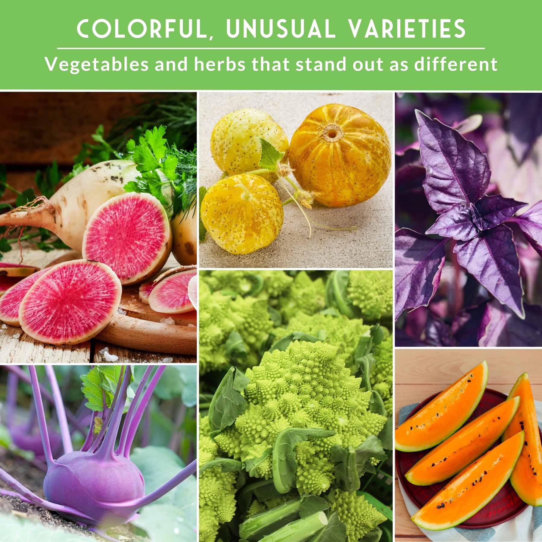 Rare Exotic Vegetable & Fruit Seeds – 6 Variety Heirloom Pack with Romanesco Broccoli, Watermelon Radish, Lemon Cucumber, and More - Image 4