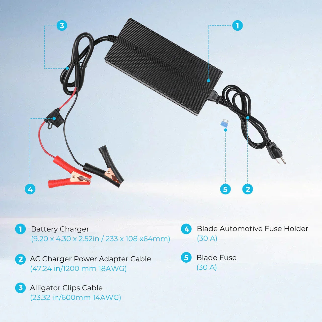 Renogy 12V 20A/24V 10A AC-to-DC LFP Portable Battery Charger - Image 3