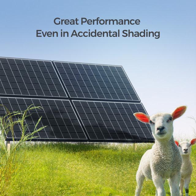 Renogy 320 Watt Monocrystalline Solar Panels (SC) - Image 3
