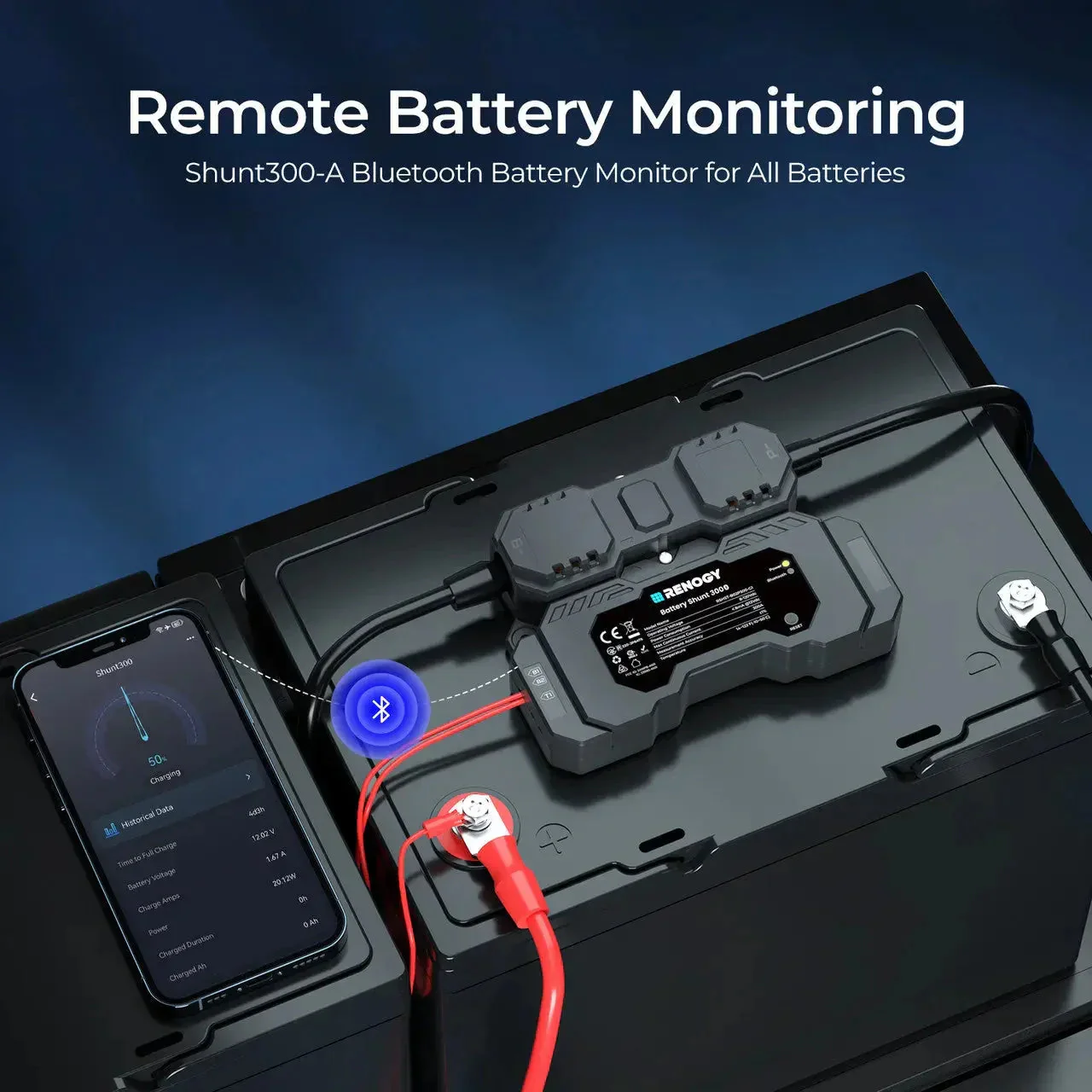RENOGY Battery Shunt 300 - Image 2