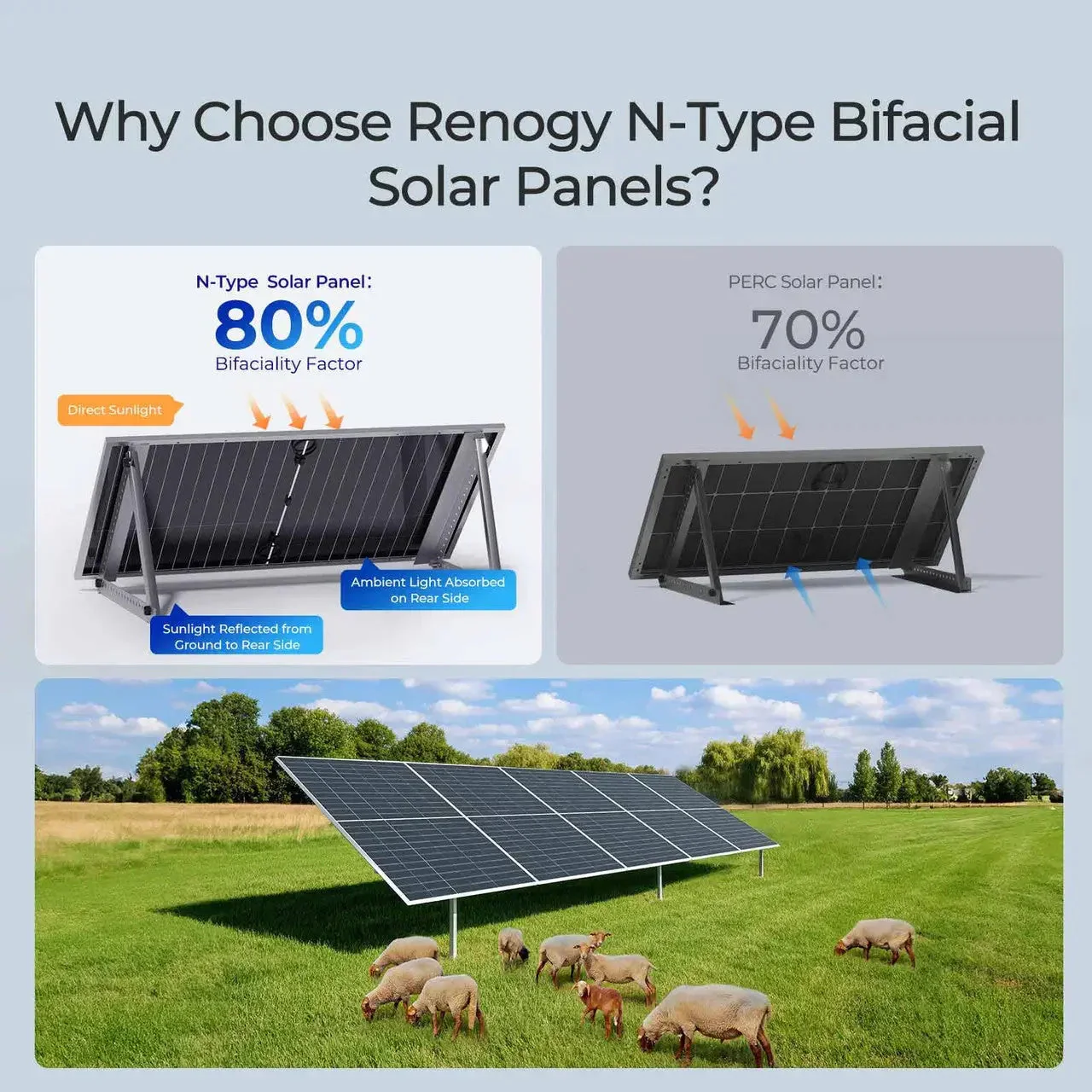 Renogy N-Type Bifacial 2PCS 590W Monocrystalline Solar Panel - Image 3