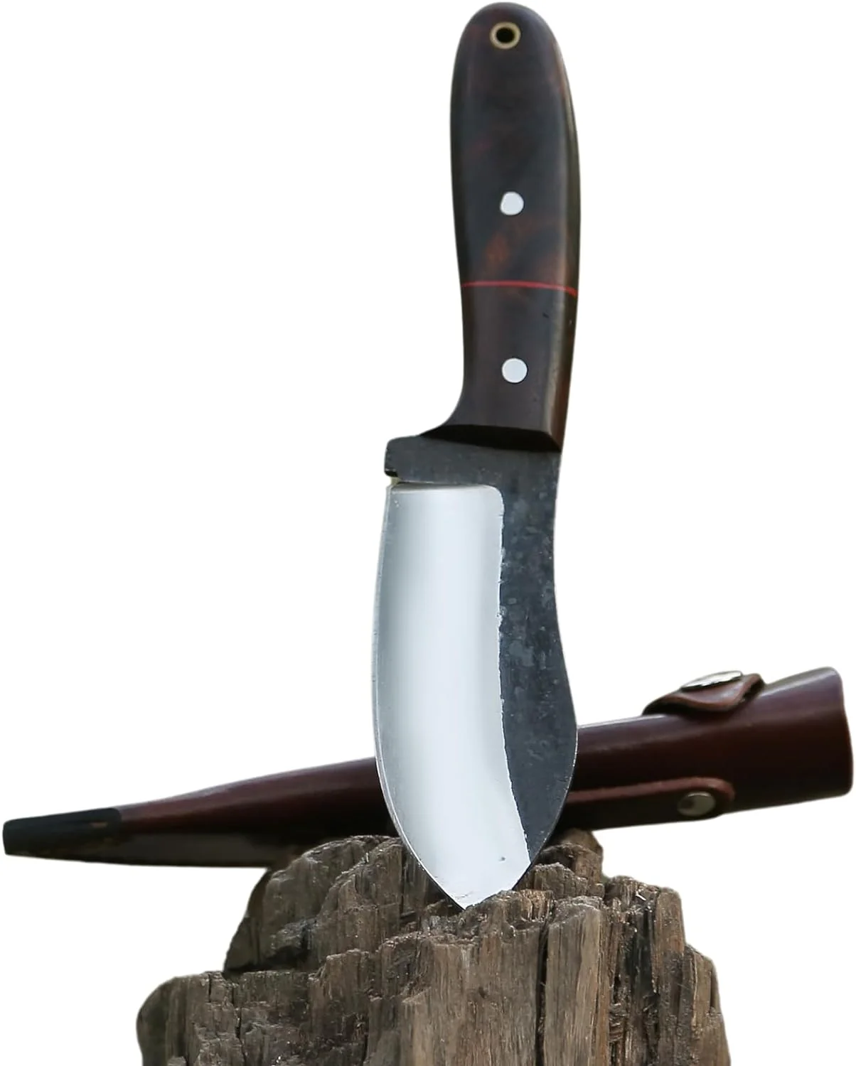 RidgeHunter High-Carbon Steel Survival Knife – 9-Inch Tactical Blade with Rosewood Handle - Image 5