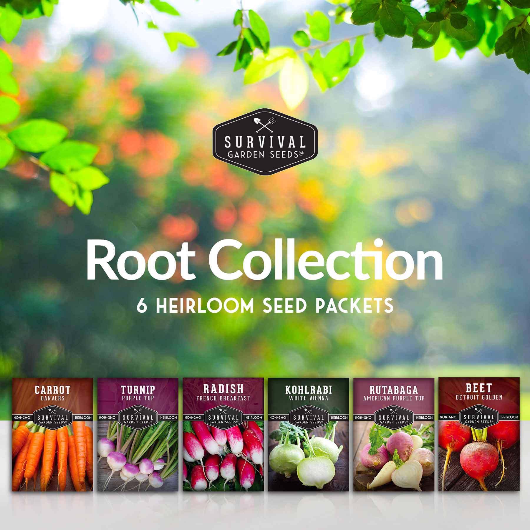 Root Vegetable Seed Collection – Cool-Season Carrots, Turnips, Radishes, Kohlrabi, Rutabagas & Golden Beets - Image 2
