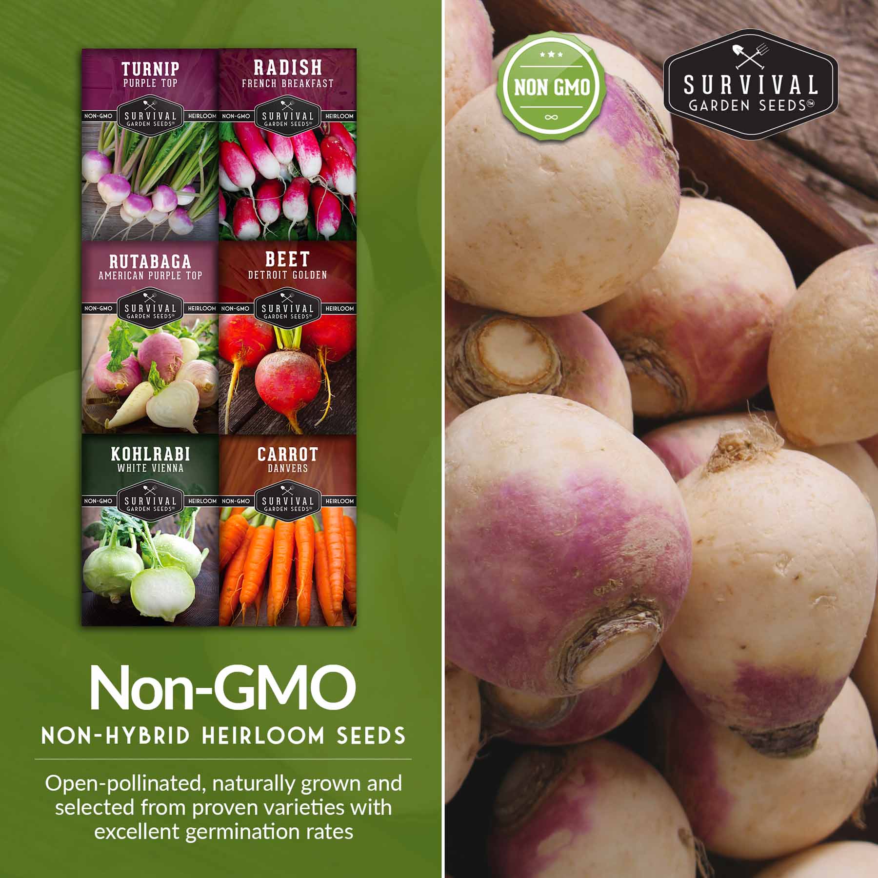 Root Vegetable Seed Collection – Cool-Season Carrots, Turnips, Radishes, Kohlrabi, Rutabagas & Golden Beets - Image 5