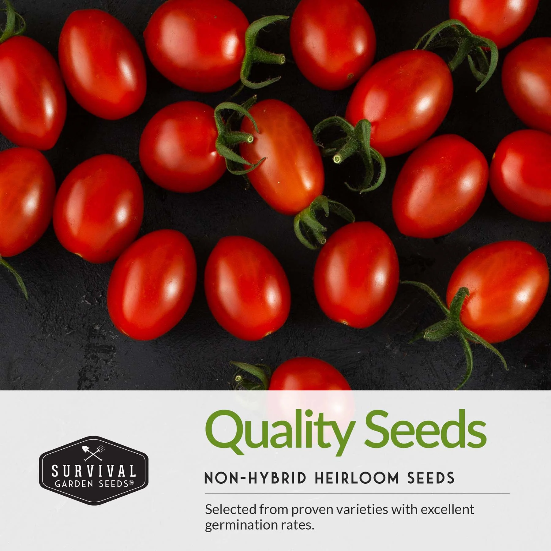 Salsa Garden Seed Collection – 5 Heirloom Non-GMO Varieties for Homemade Red & Green Salsa, Fresh Cooking & Food Preservation - Image 4