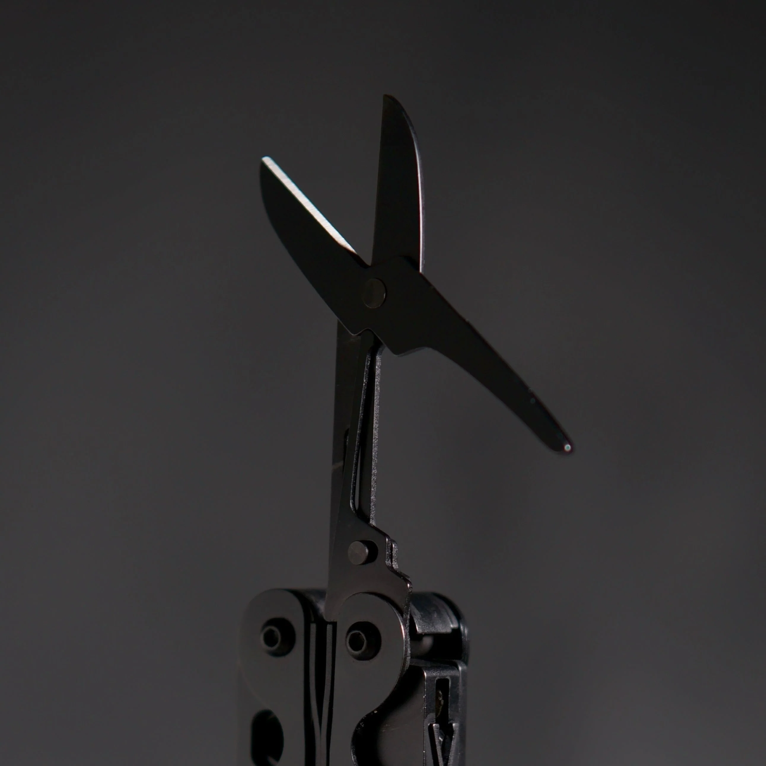 Scissors - Image 4