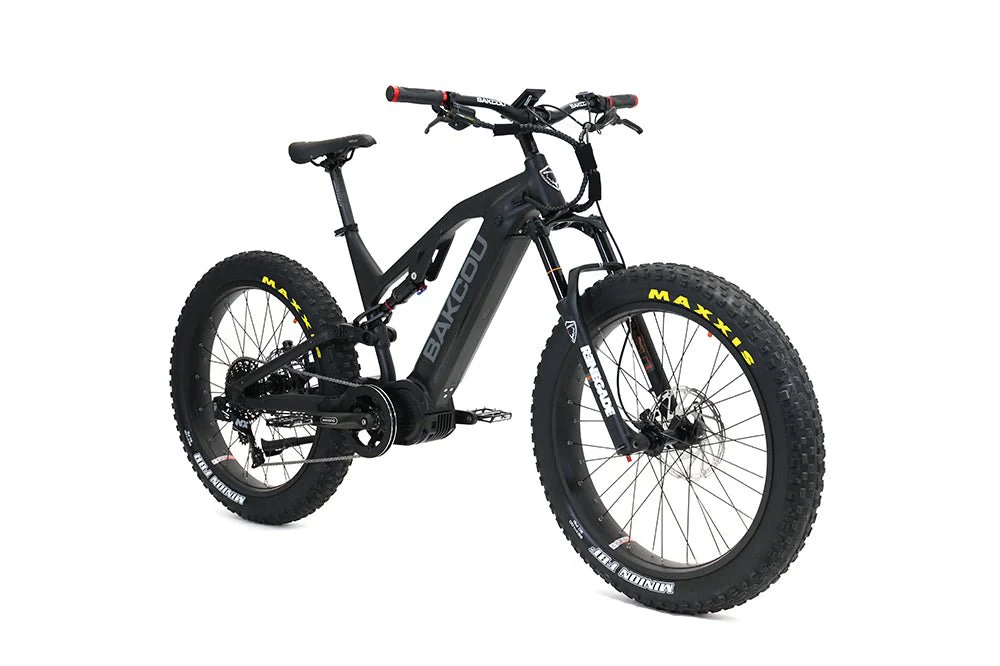 Scout - Image 10