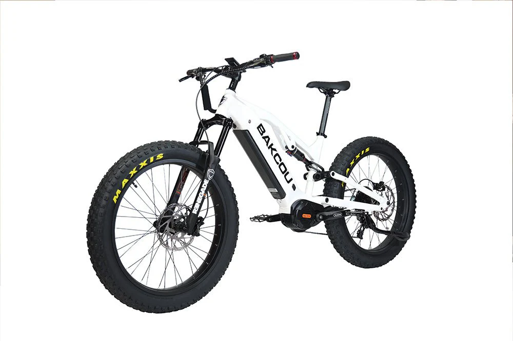 Scout - Image 11