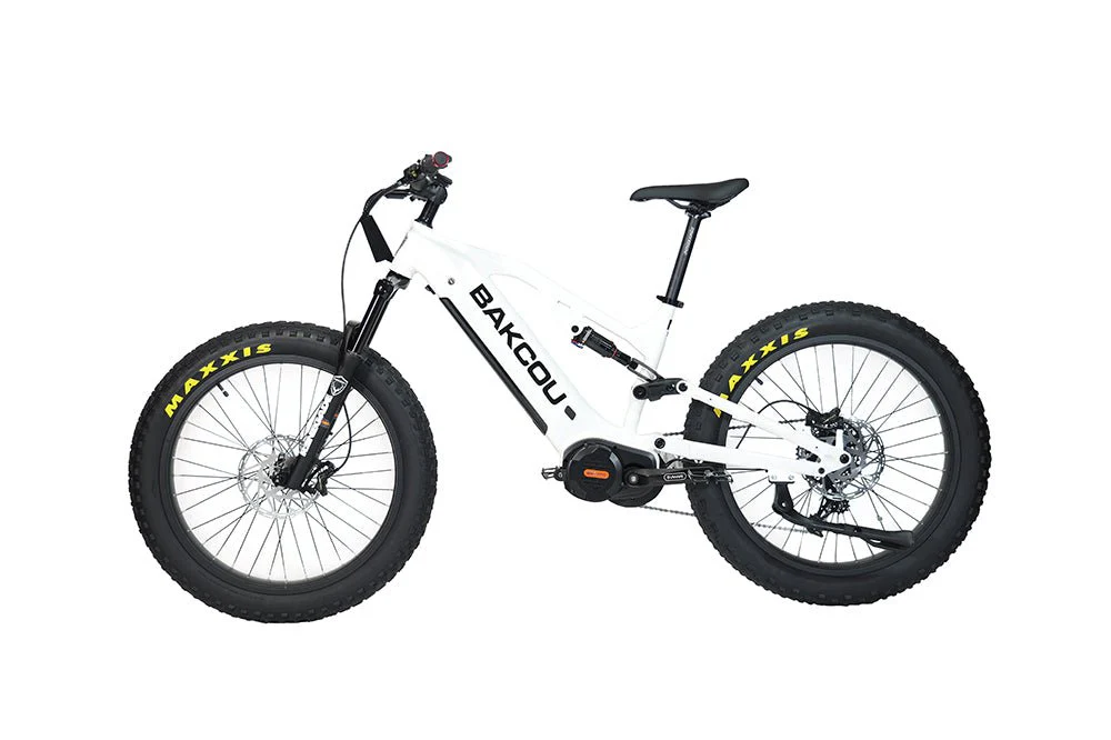 Scout - Image 12