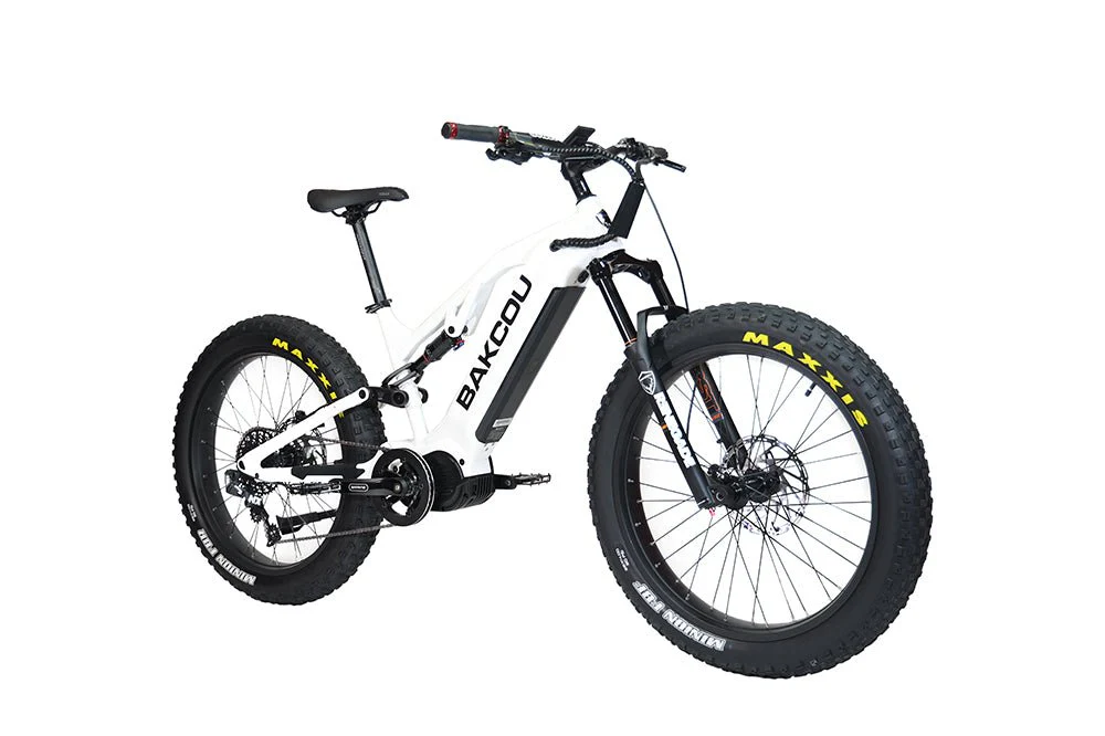 Scout - Image 13