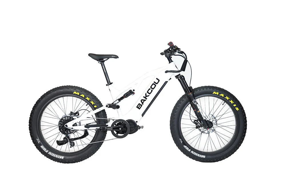 Scout - Image 14