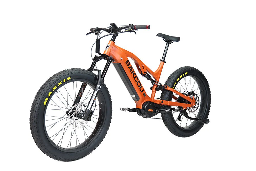 Scout - Image 15