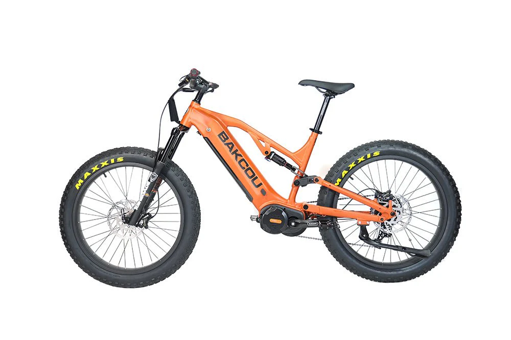 Scout - Image 16