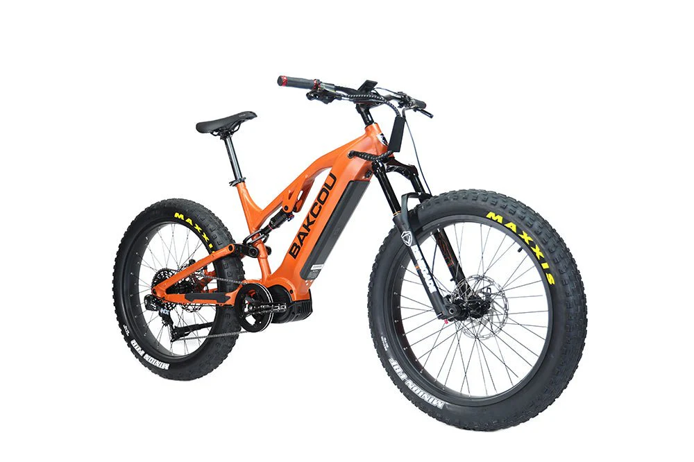 Scout - Image 17